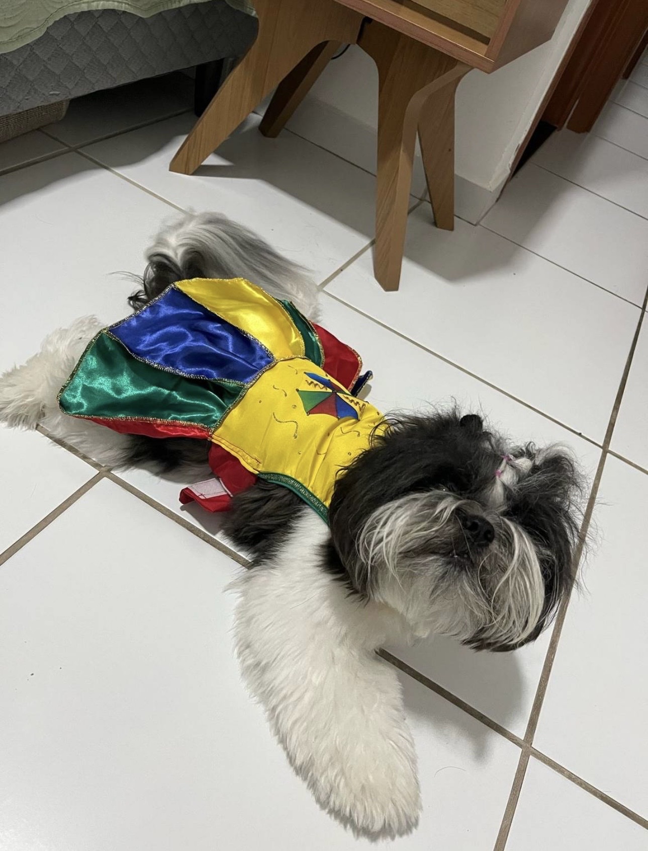 image-4