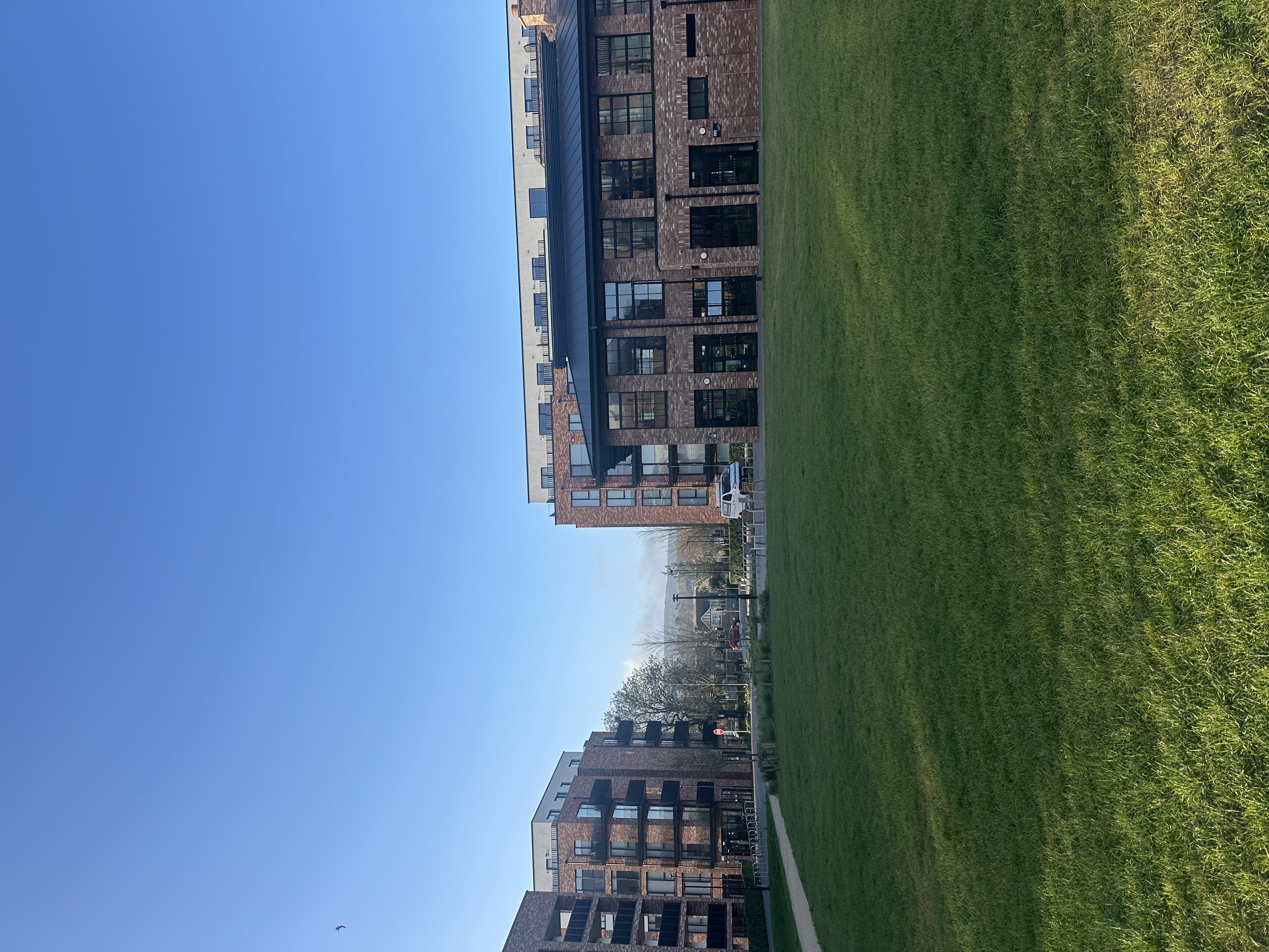 image-19