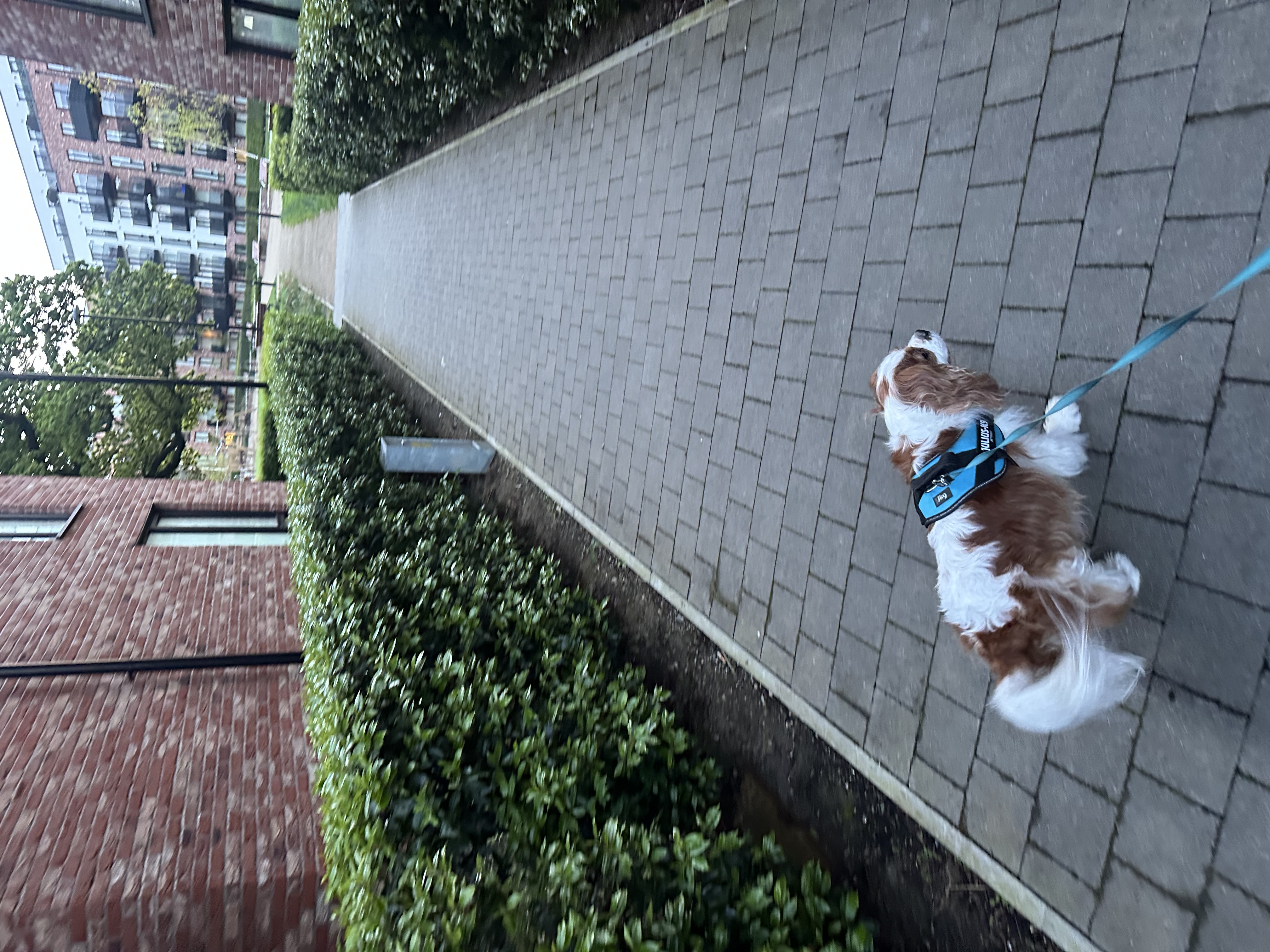 image-17