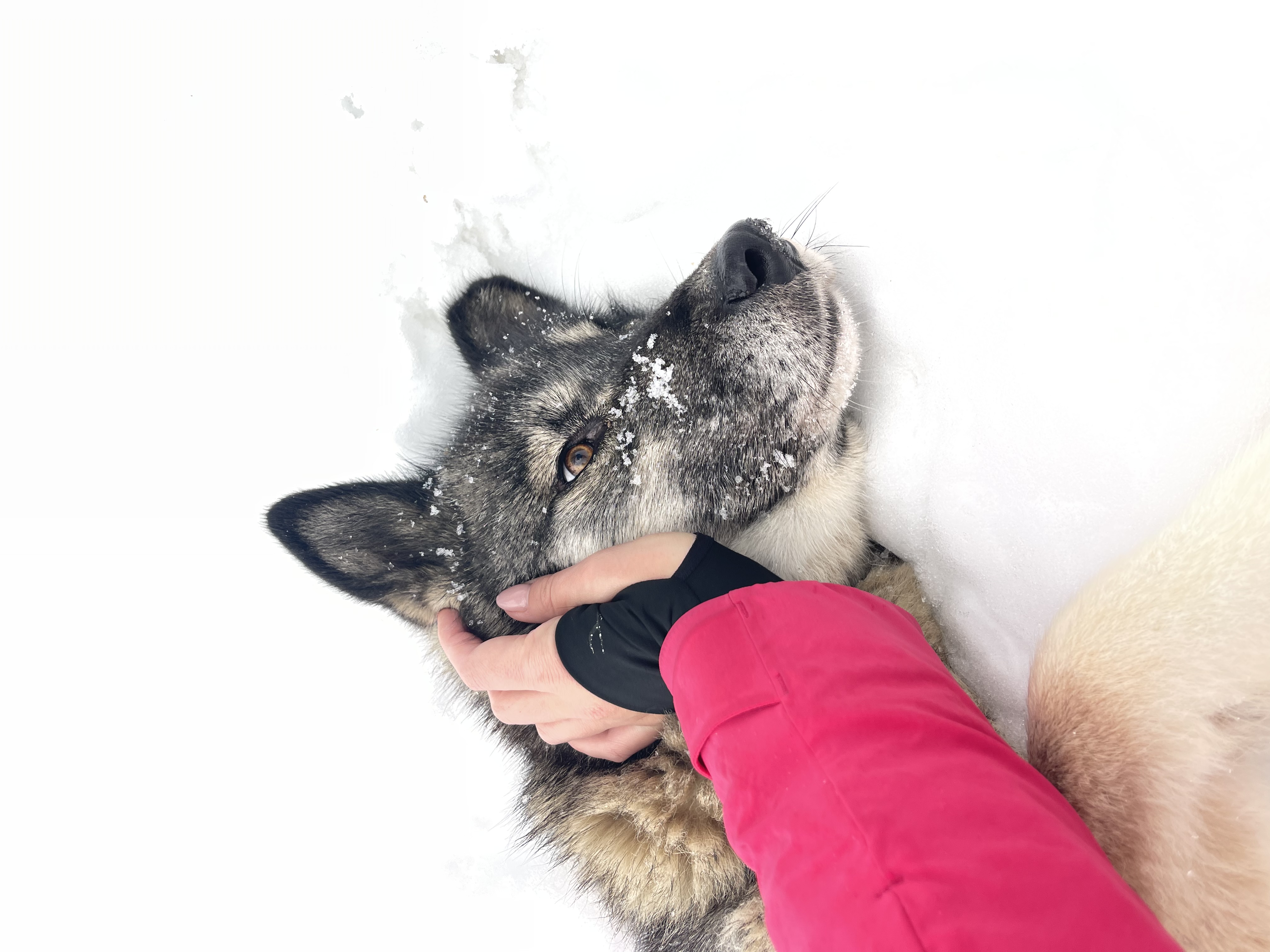 image-11