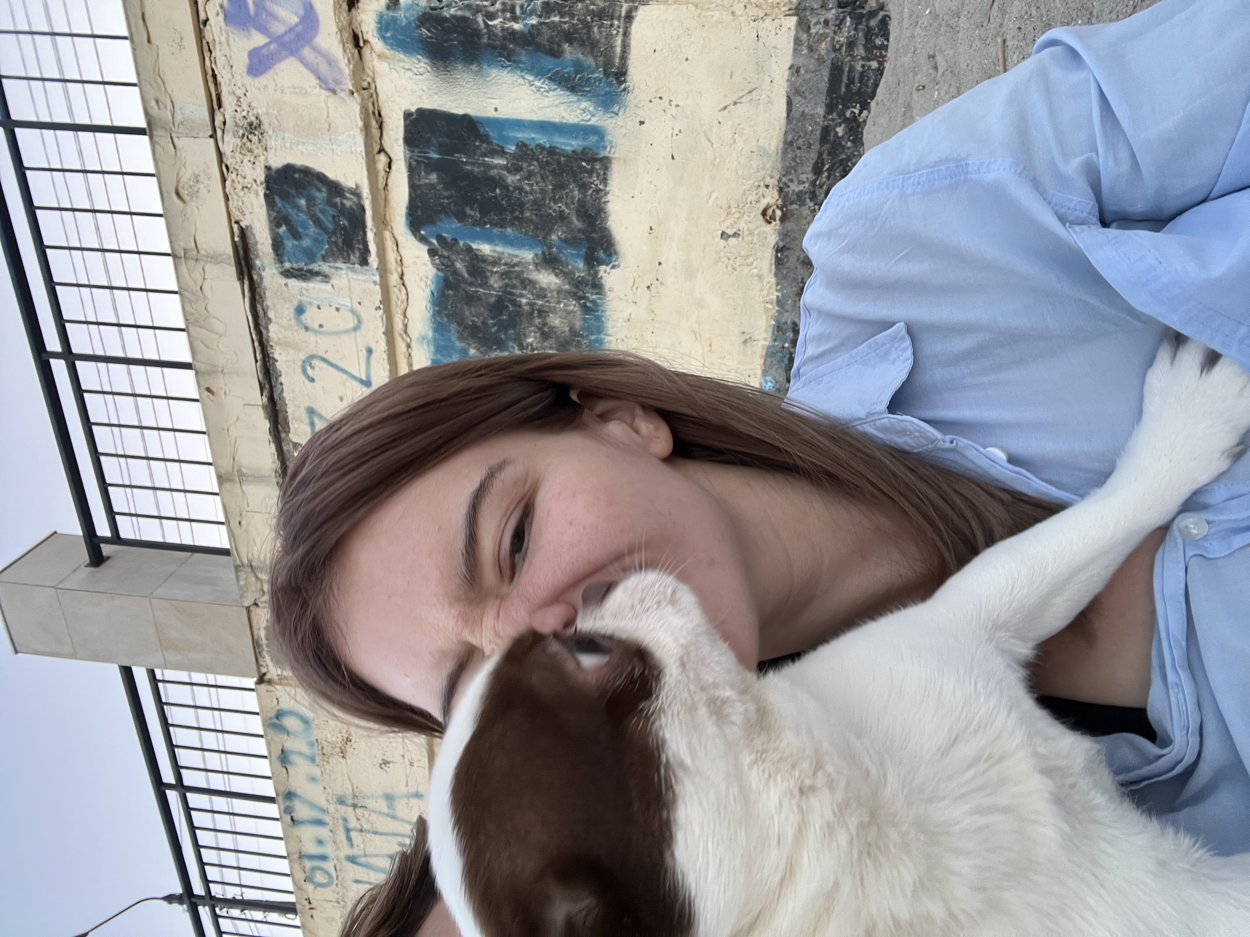 image-8