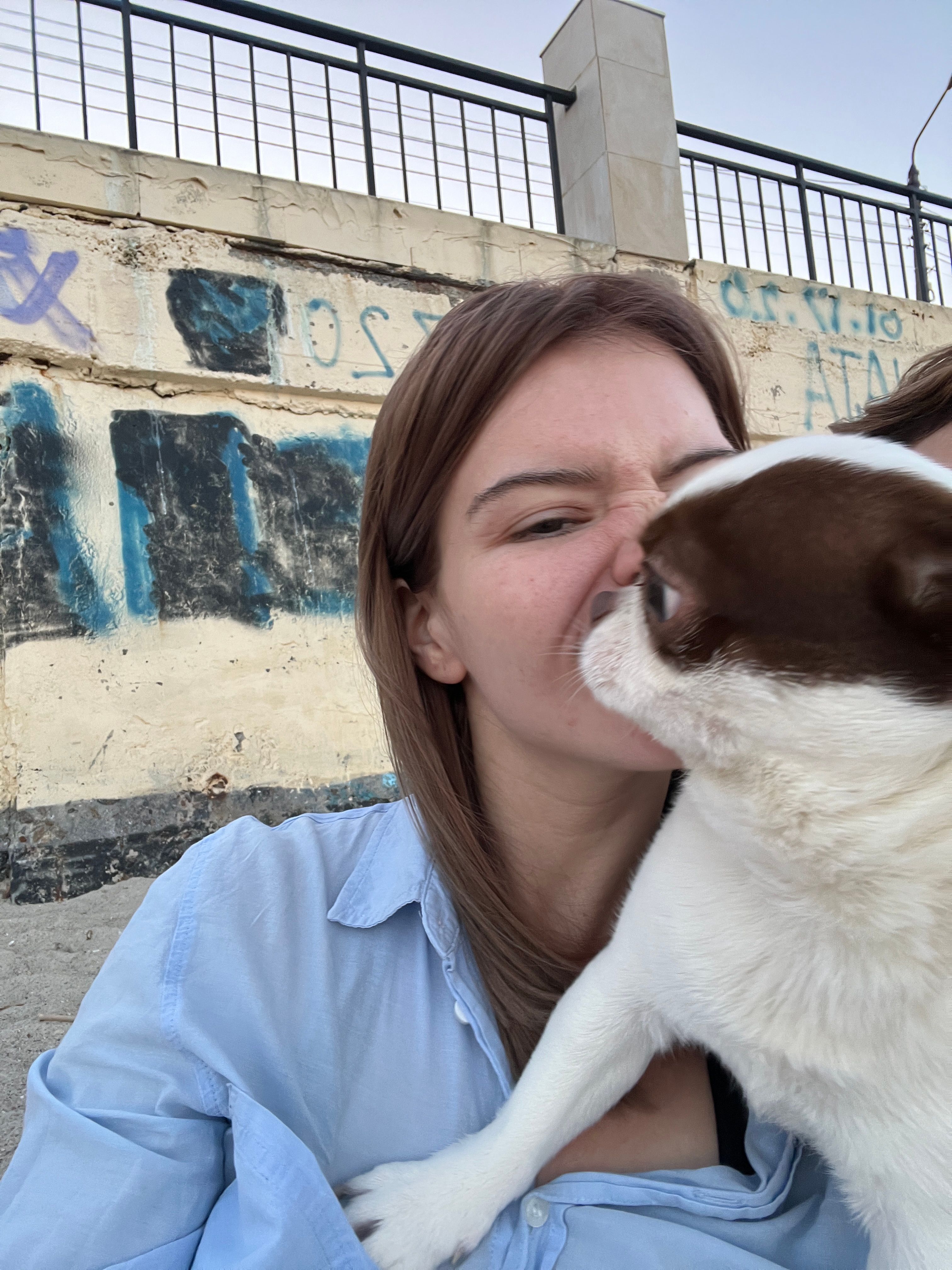 image-8