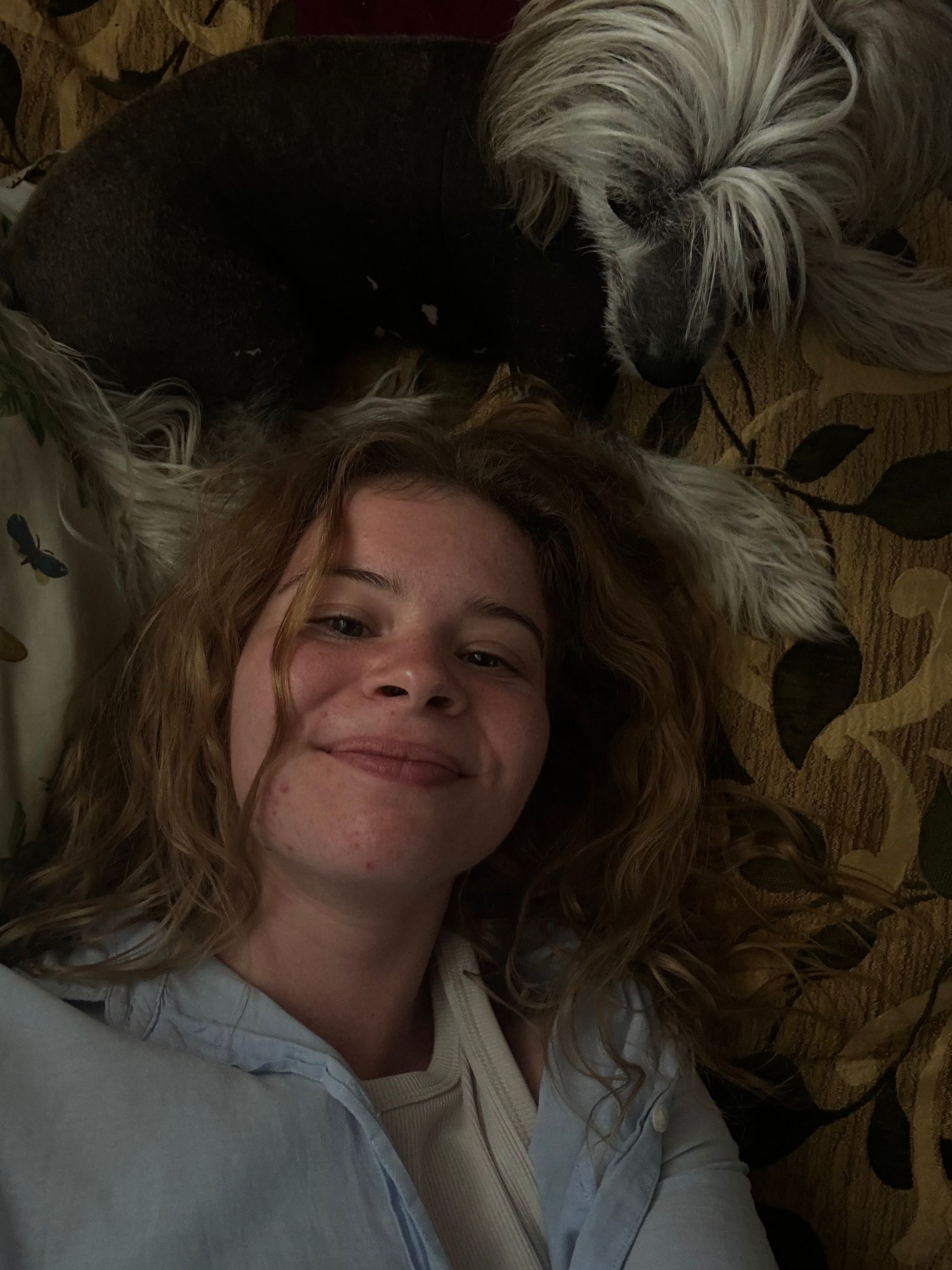 image-4