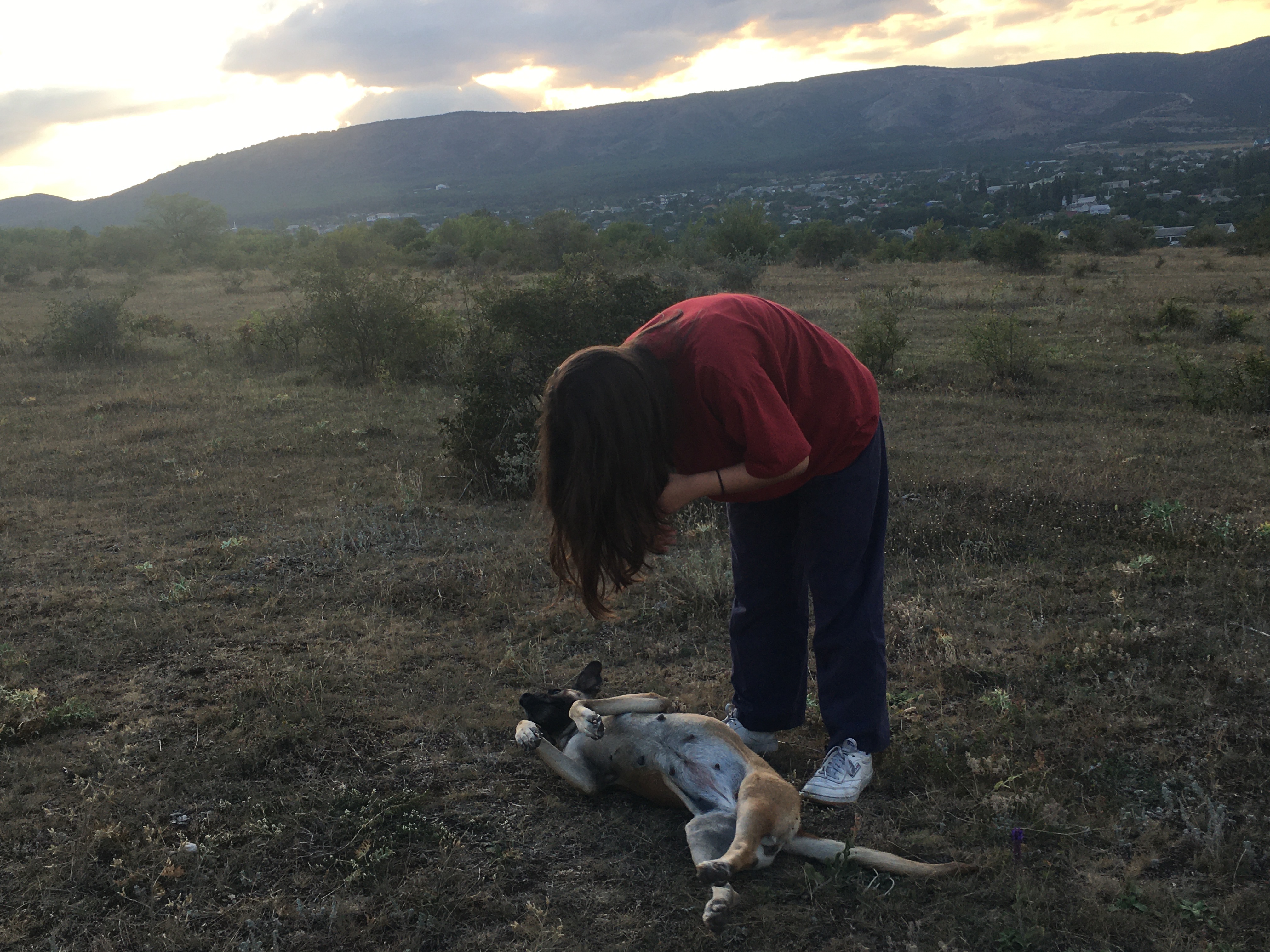 image-9