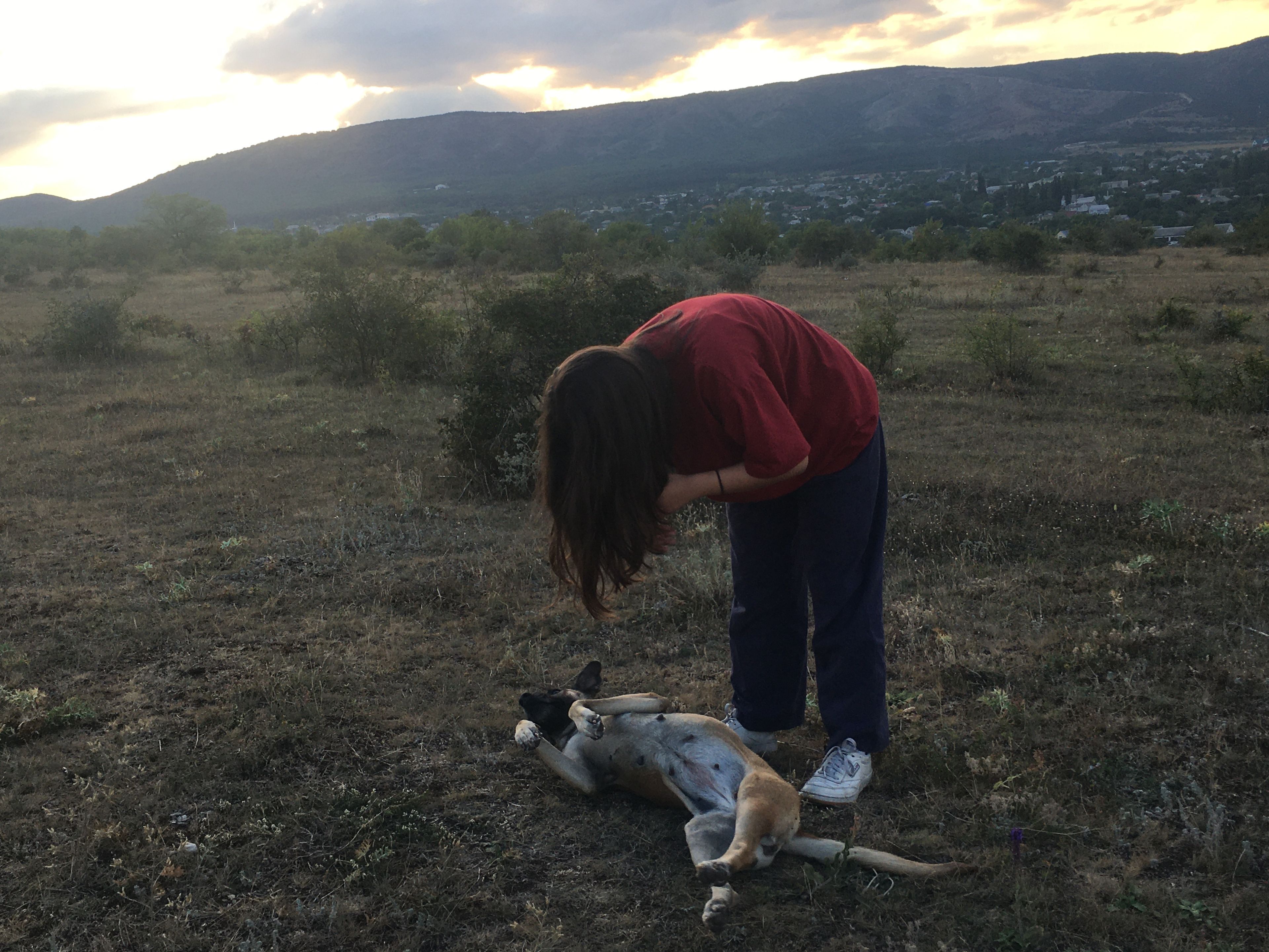 image-9