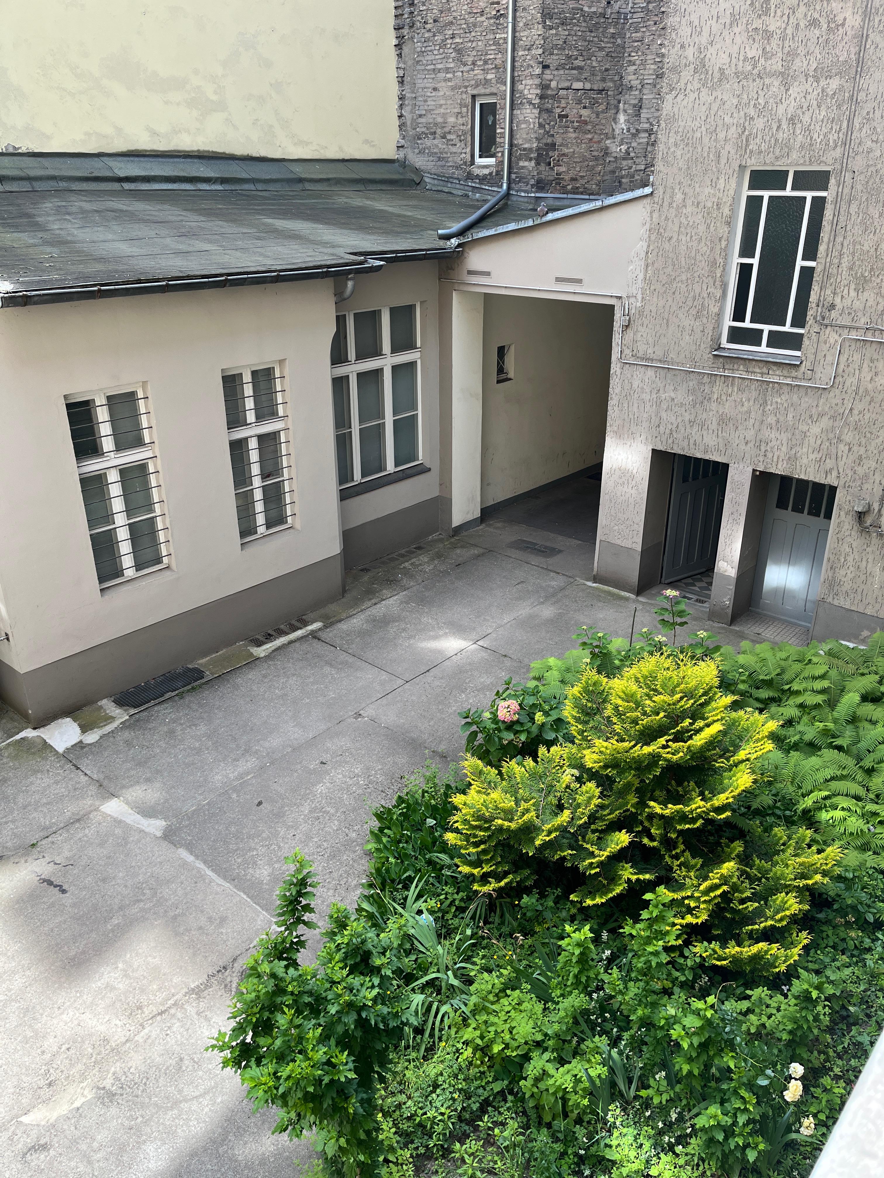 image-19