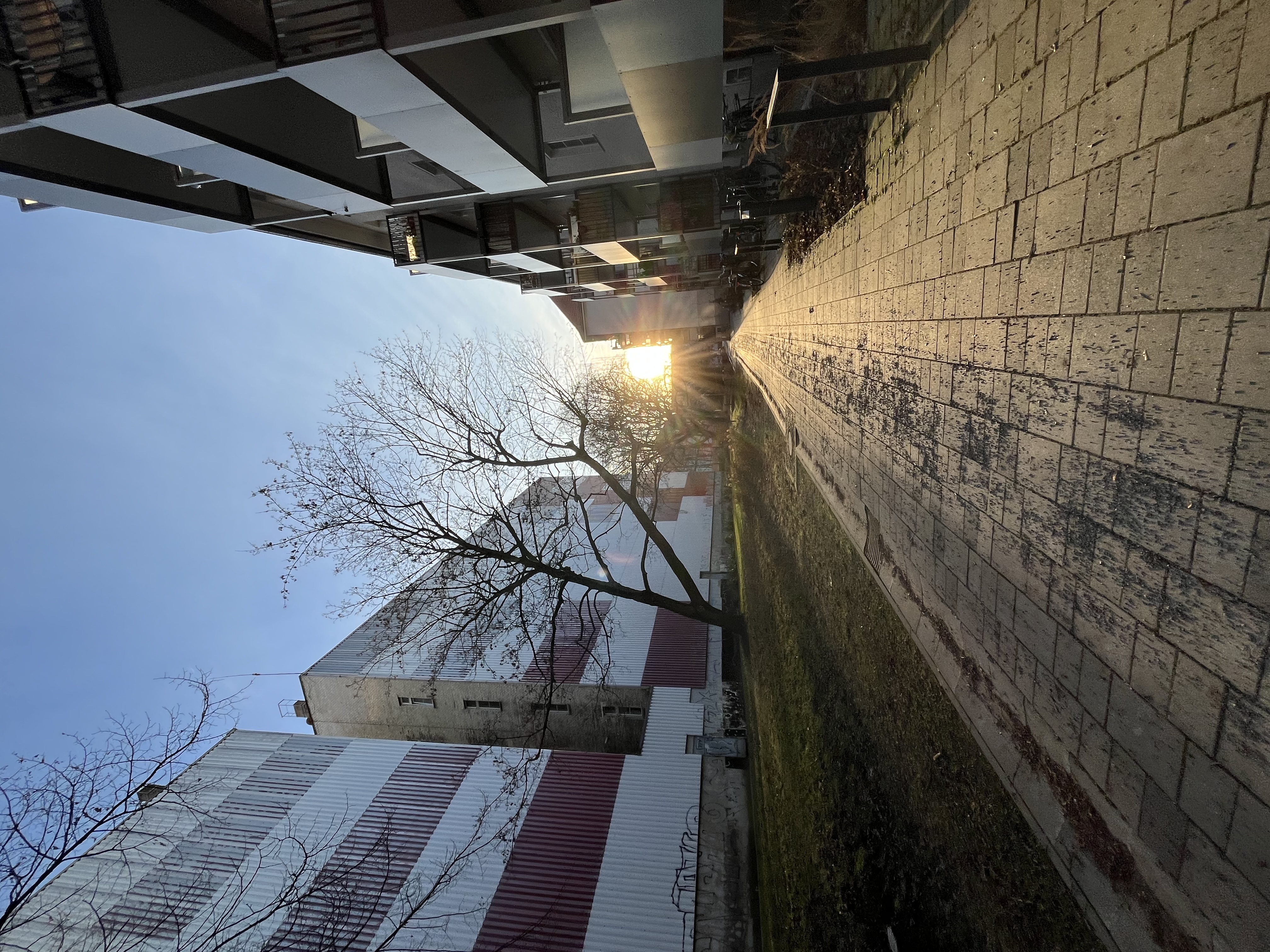 image-20