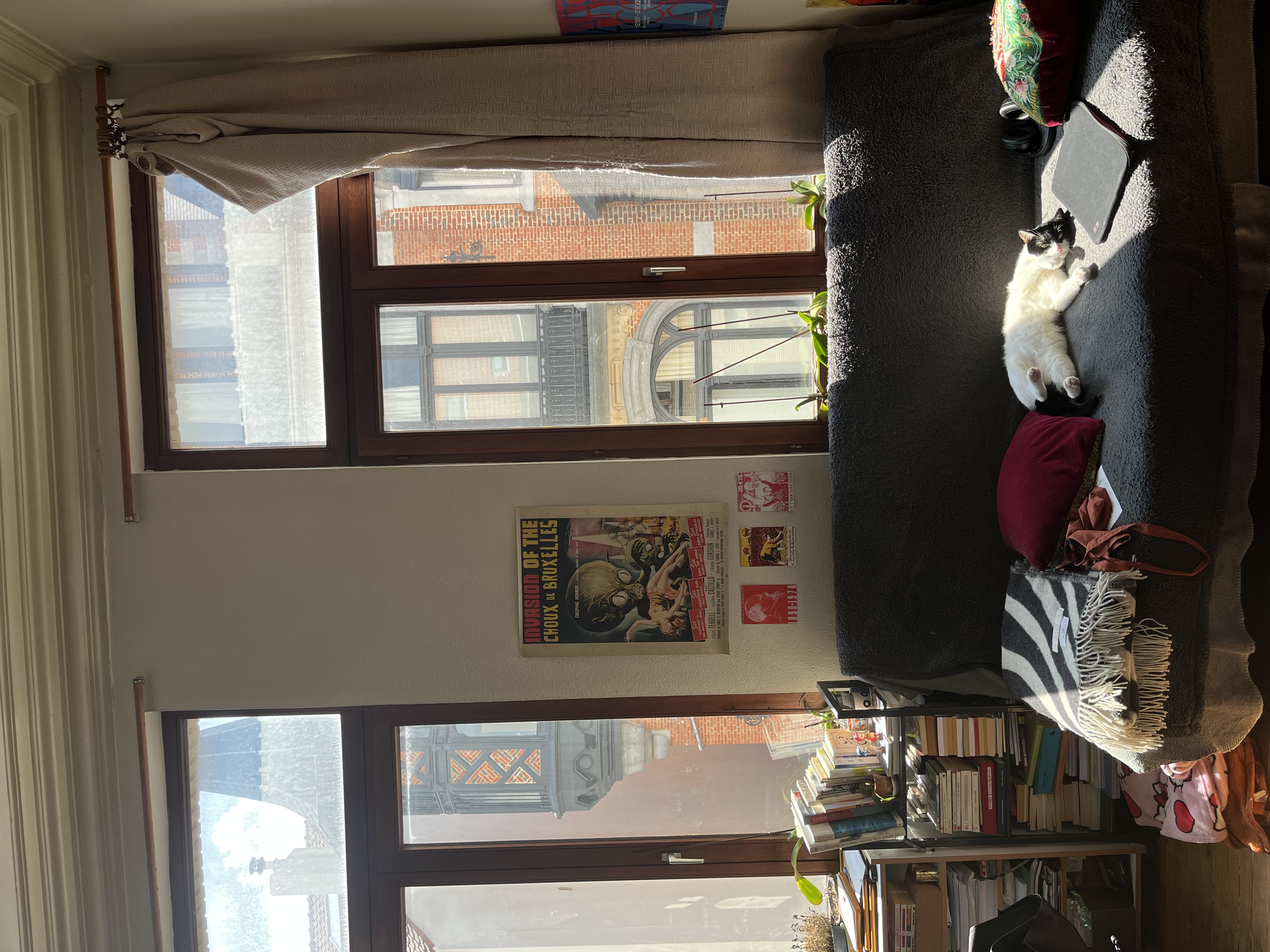 image-8