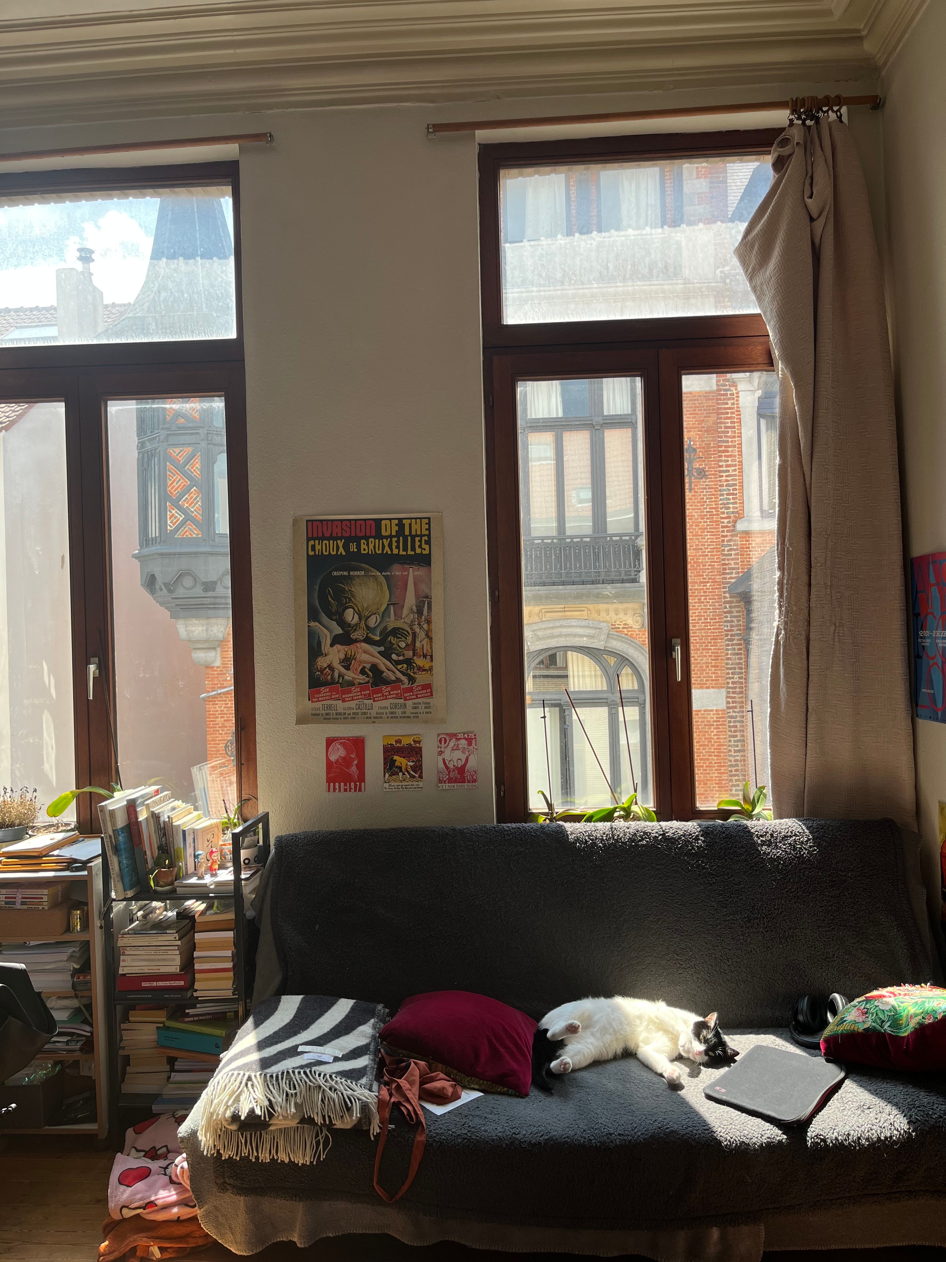 image-8