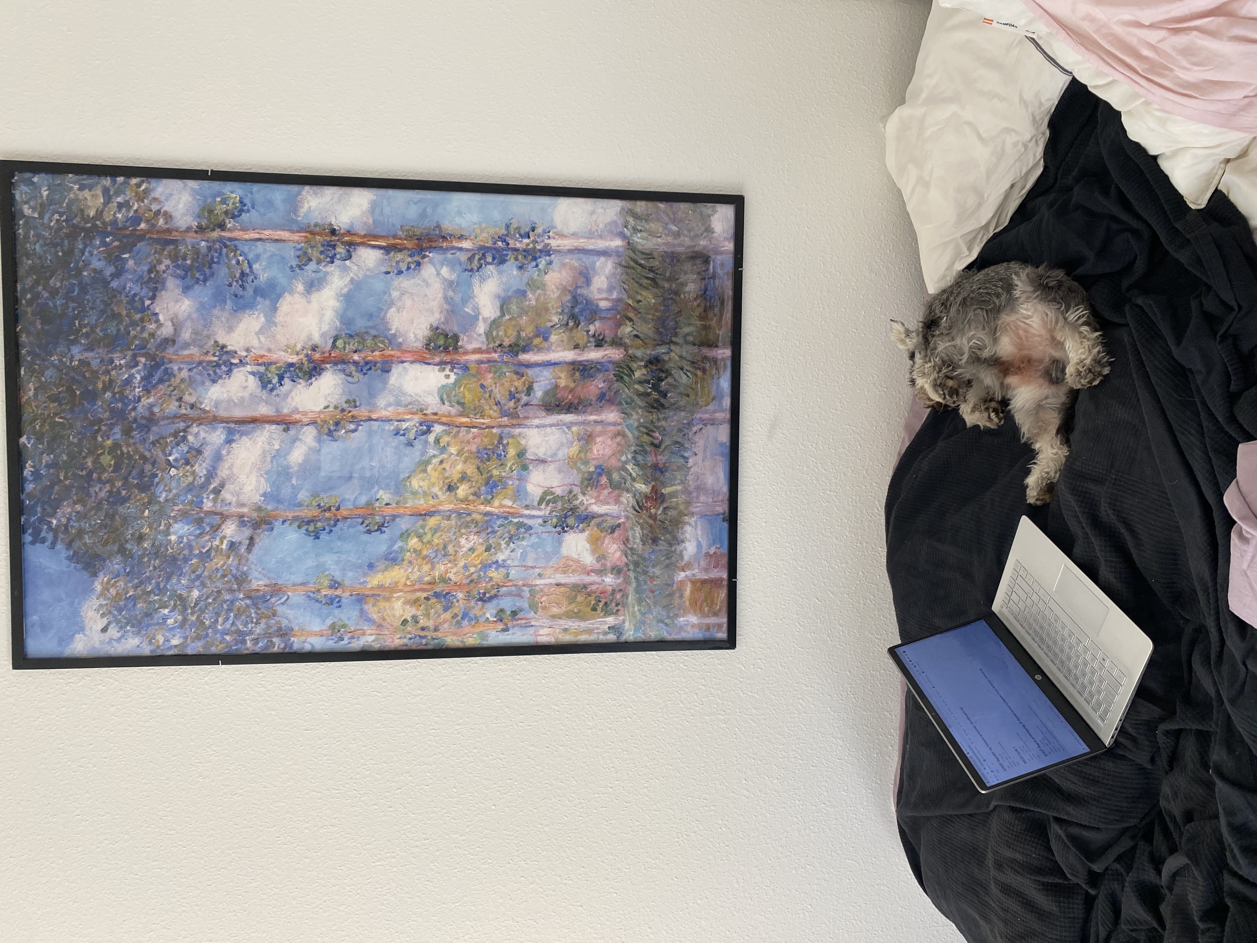 image-19