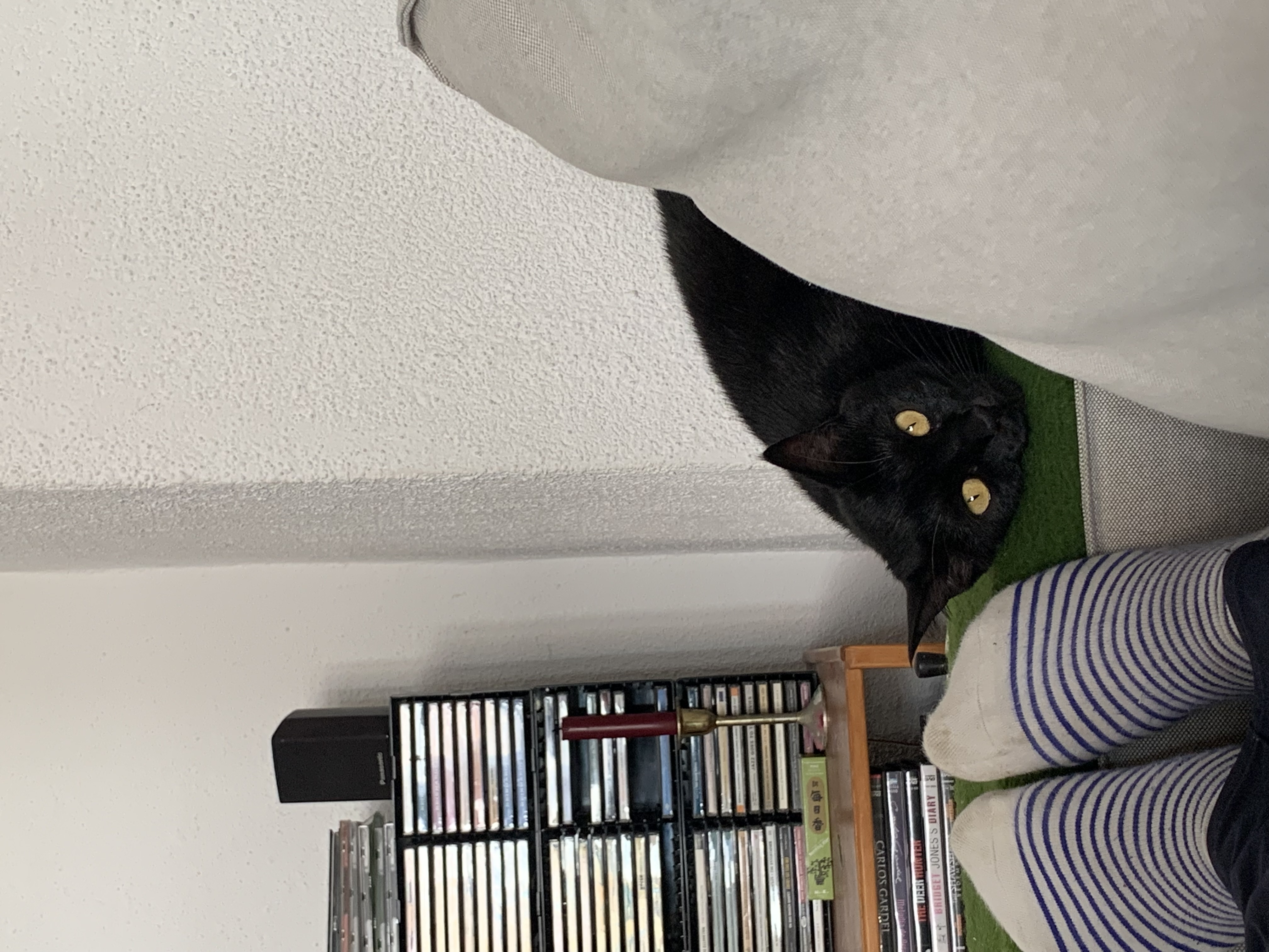 image-7
