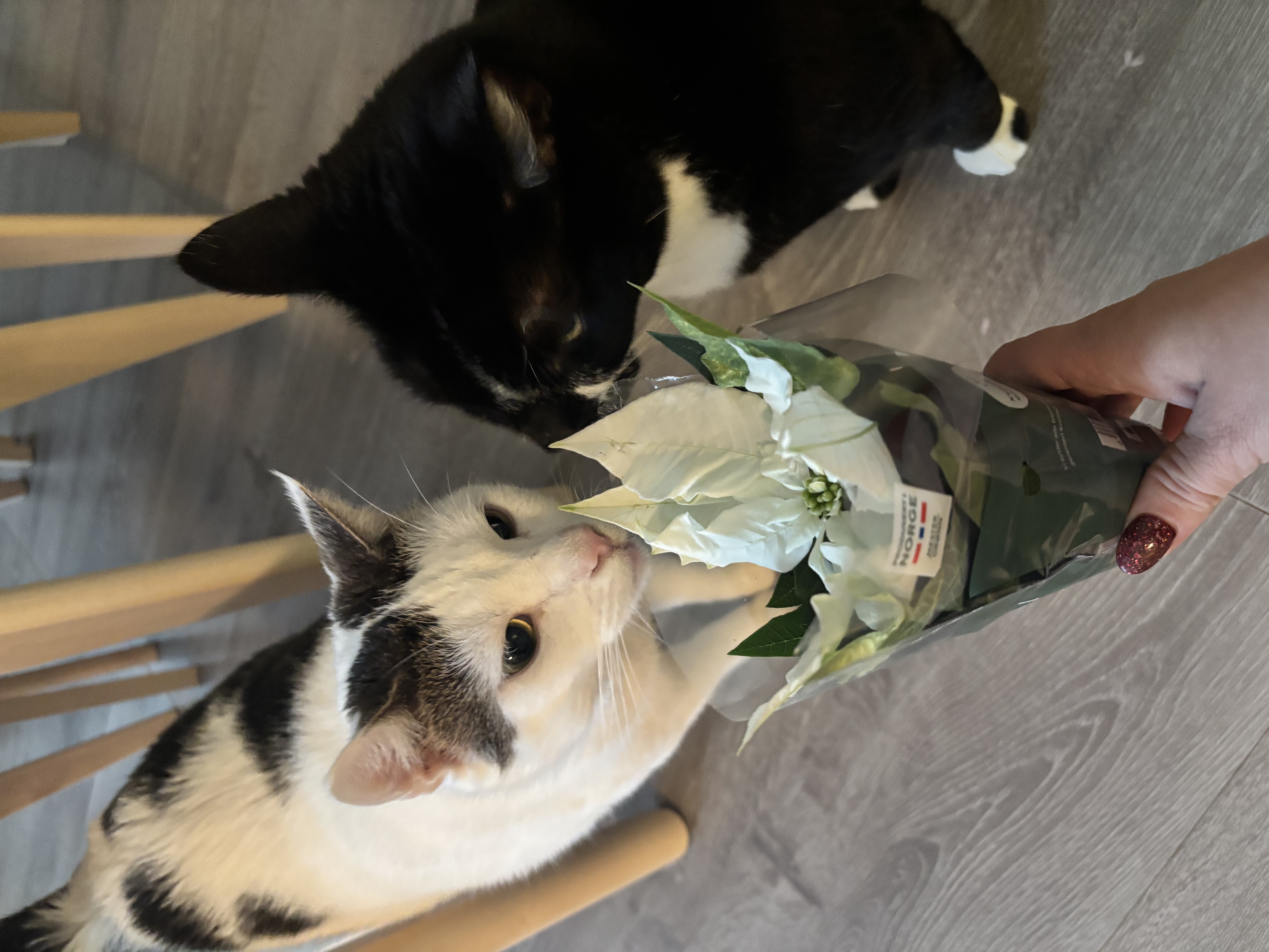 image-6