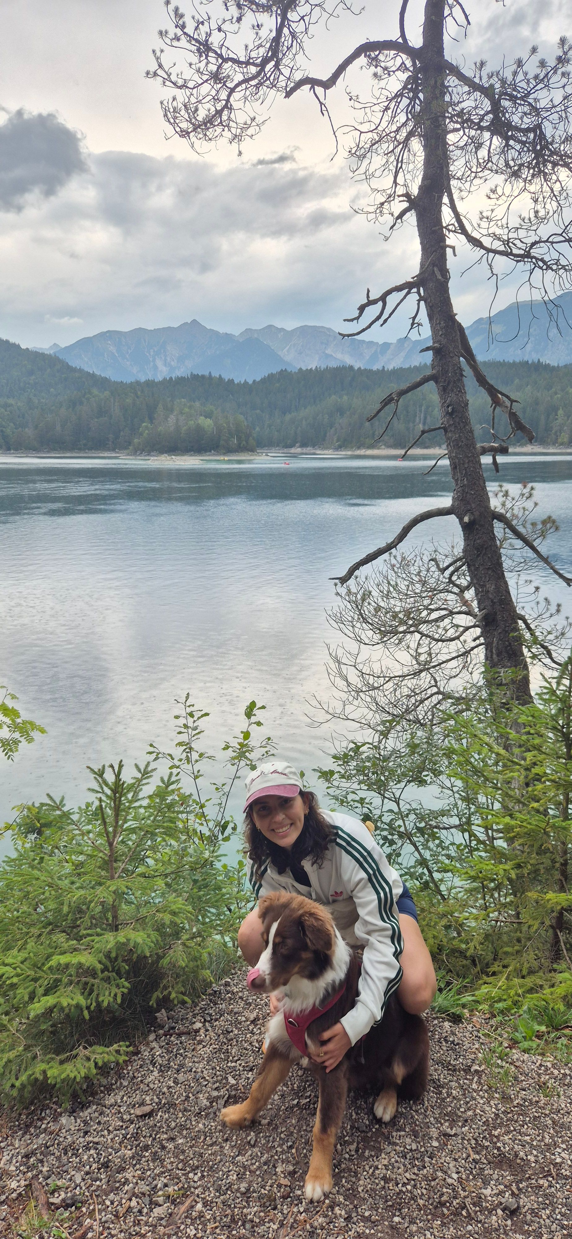 image-8