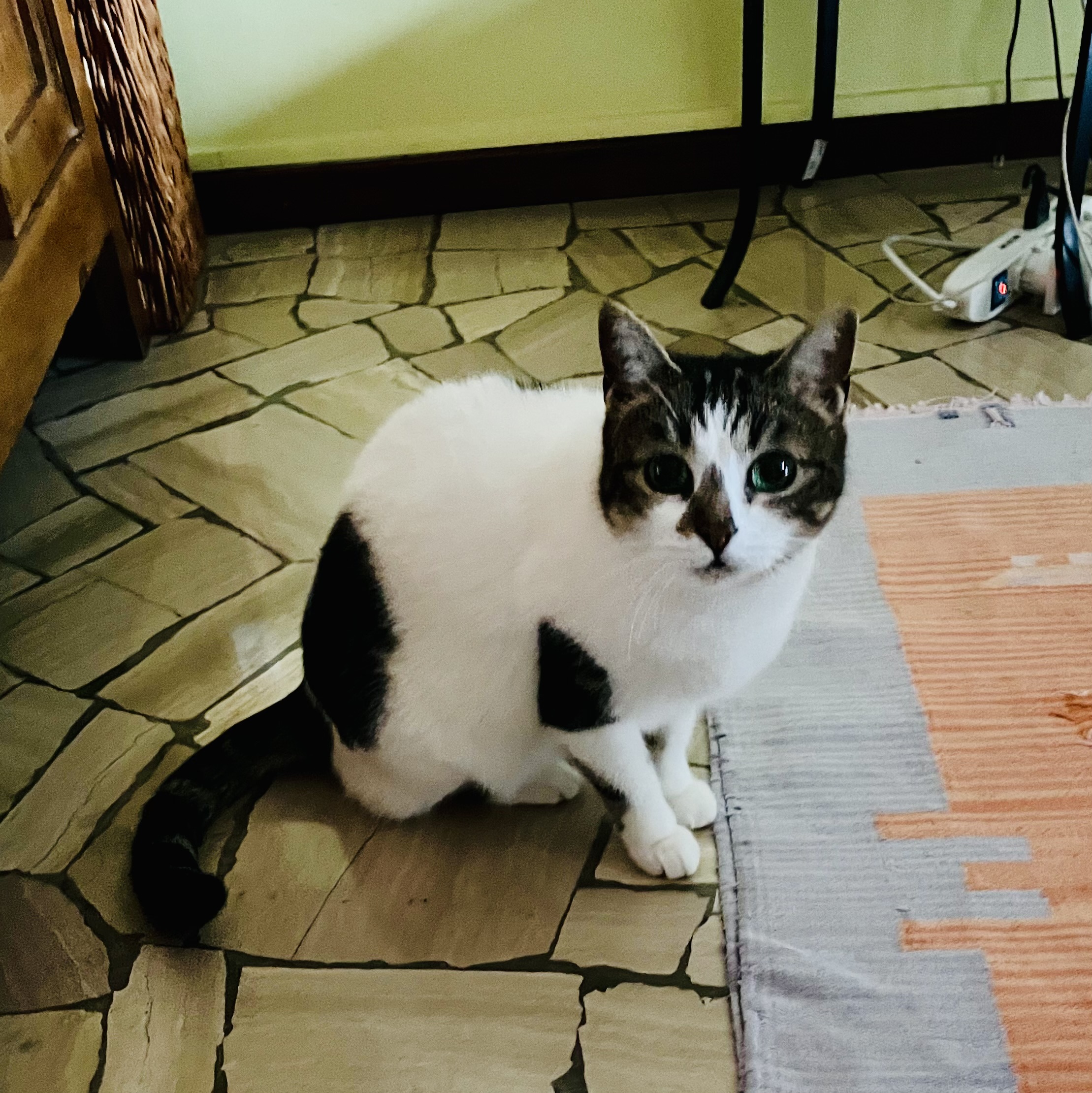 image-10