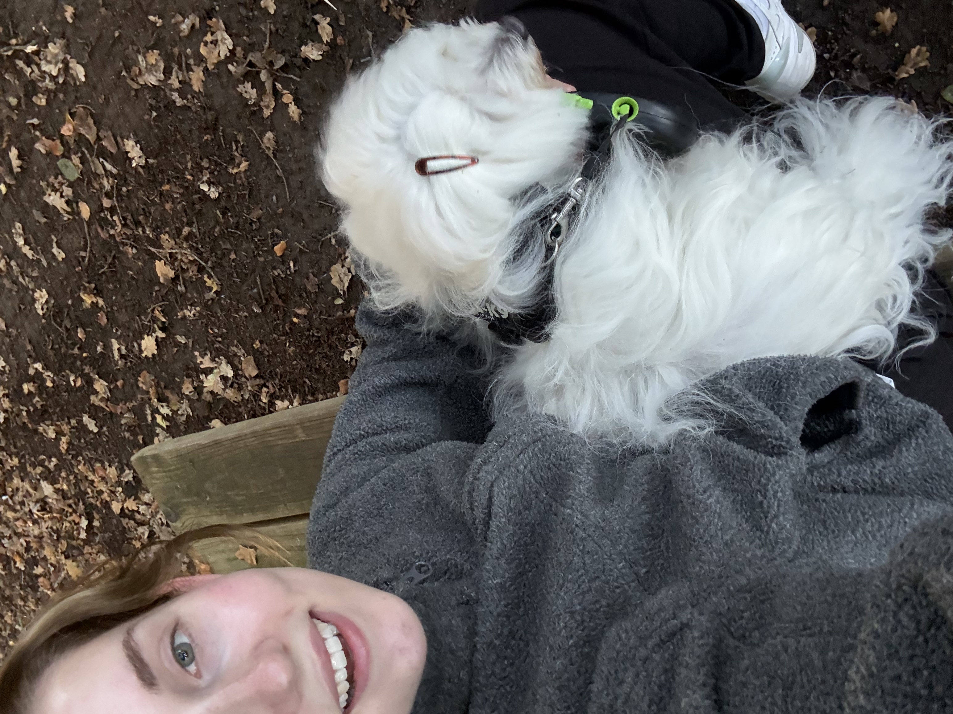 image-6