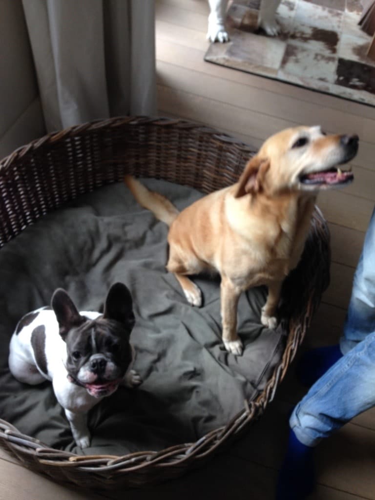 image-6