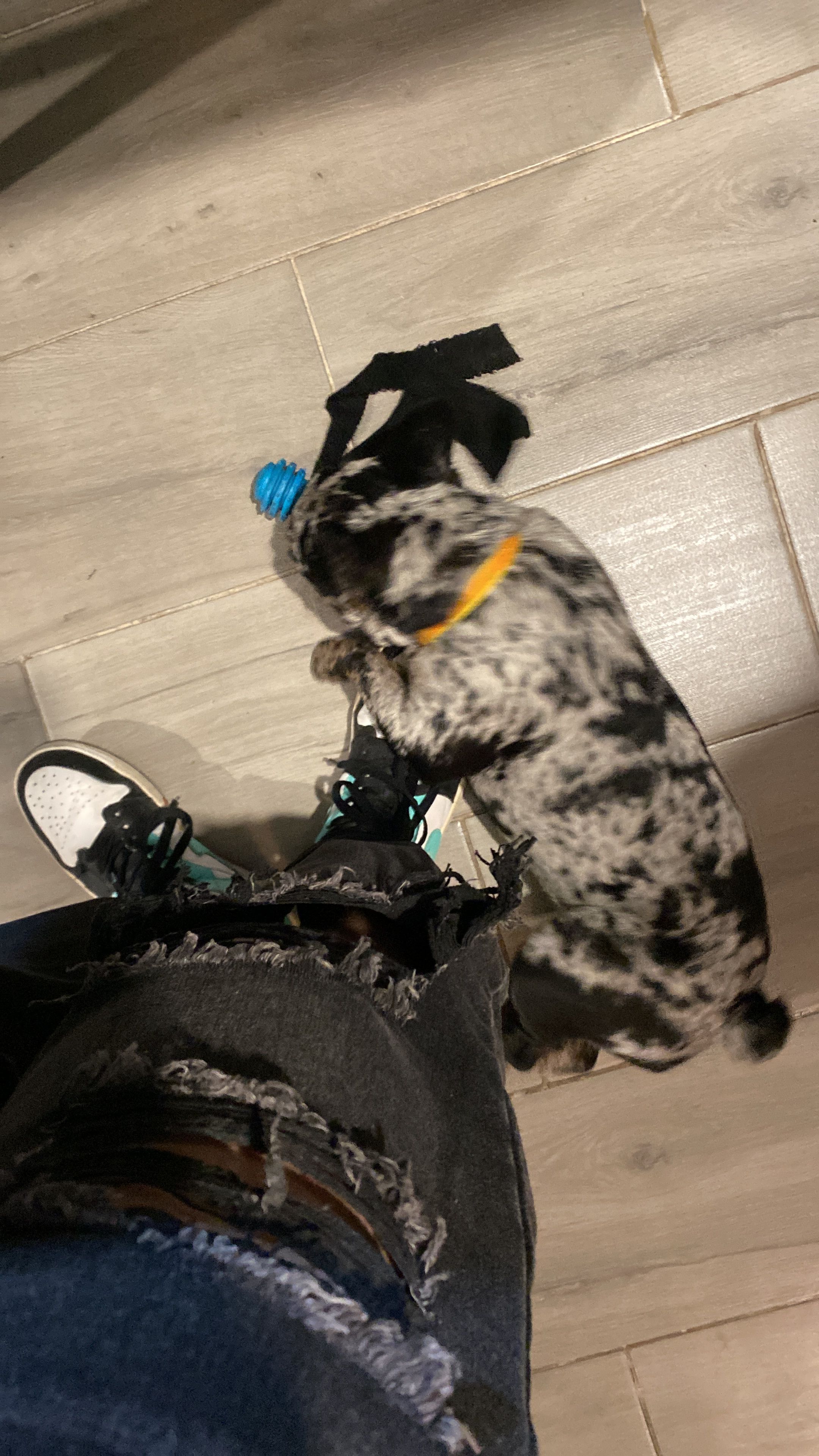 image-10