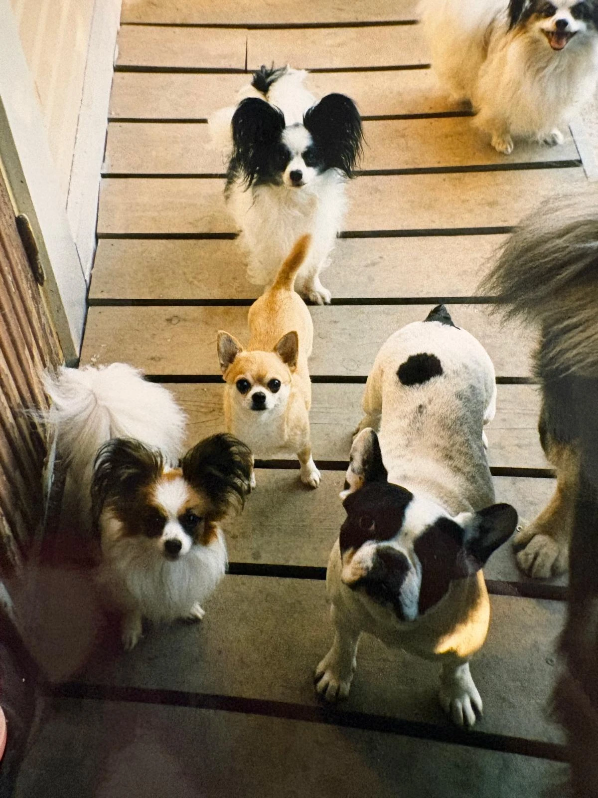 image-10