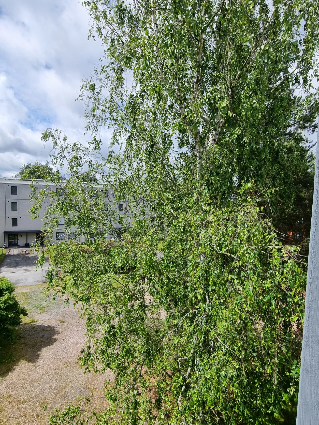 image-19