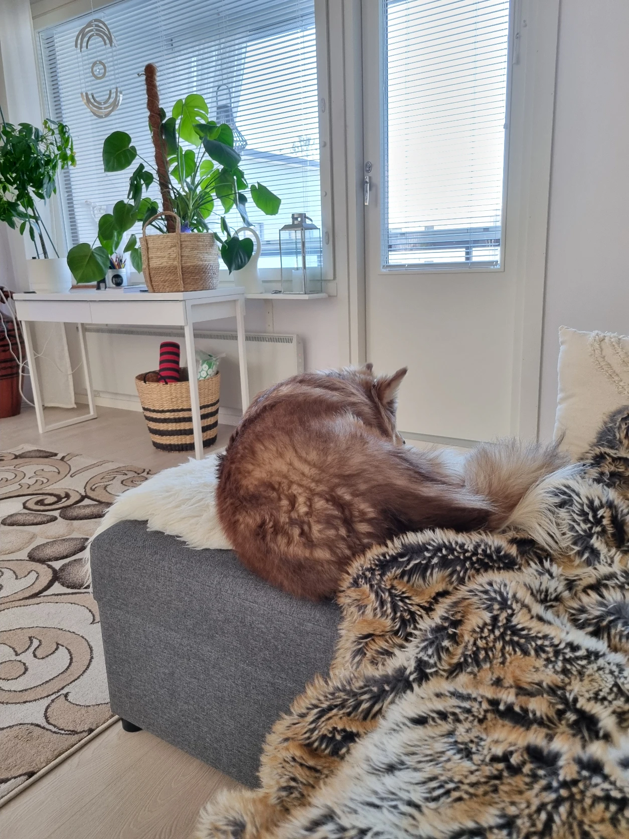 image-8