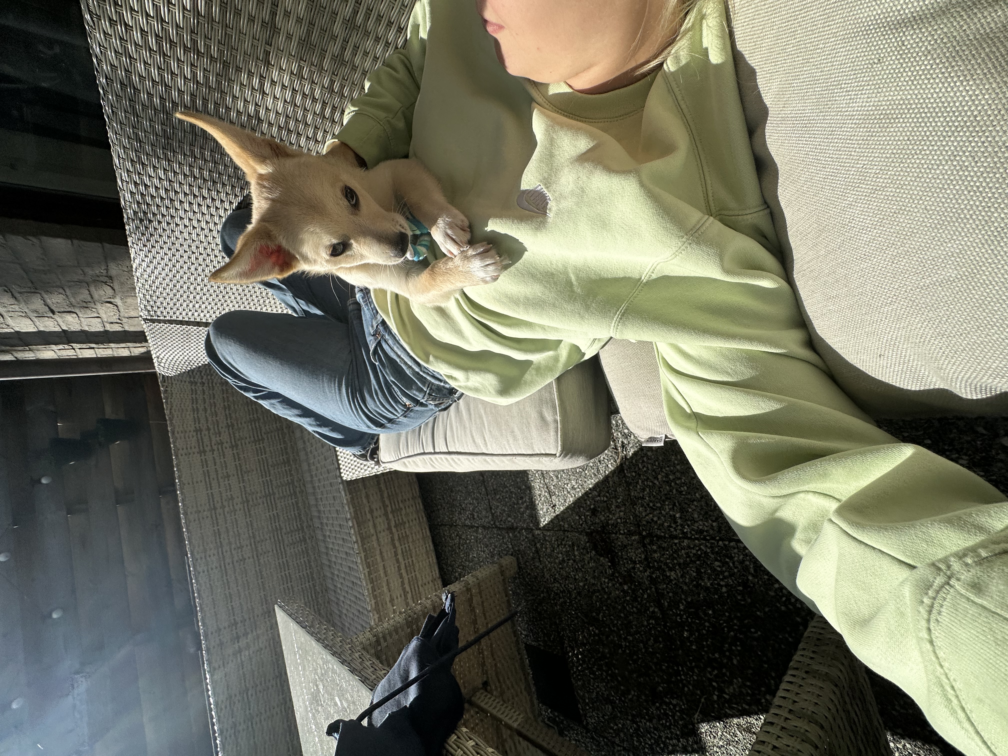 image-7