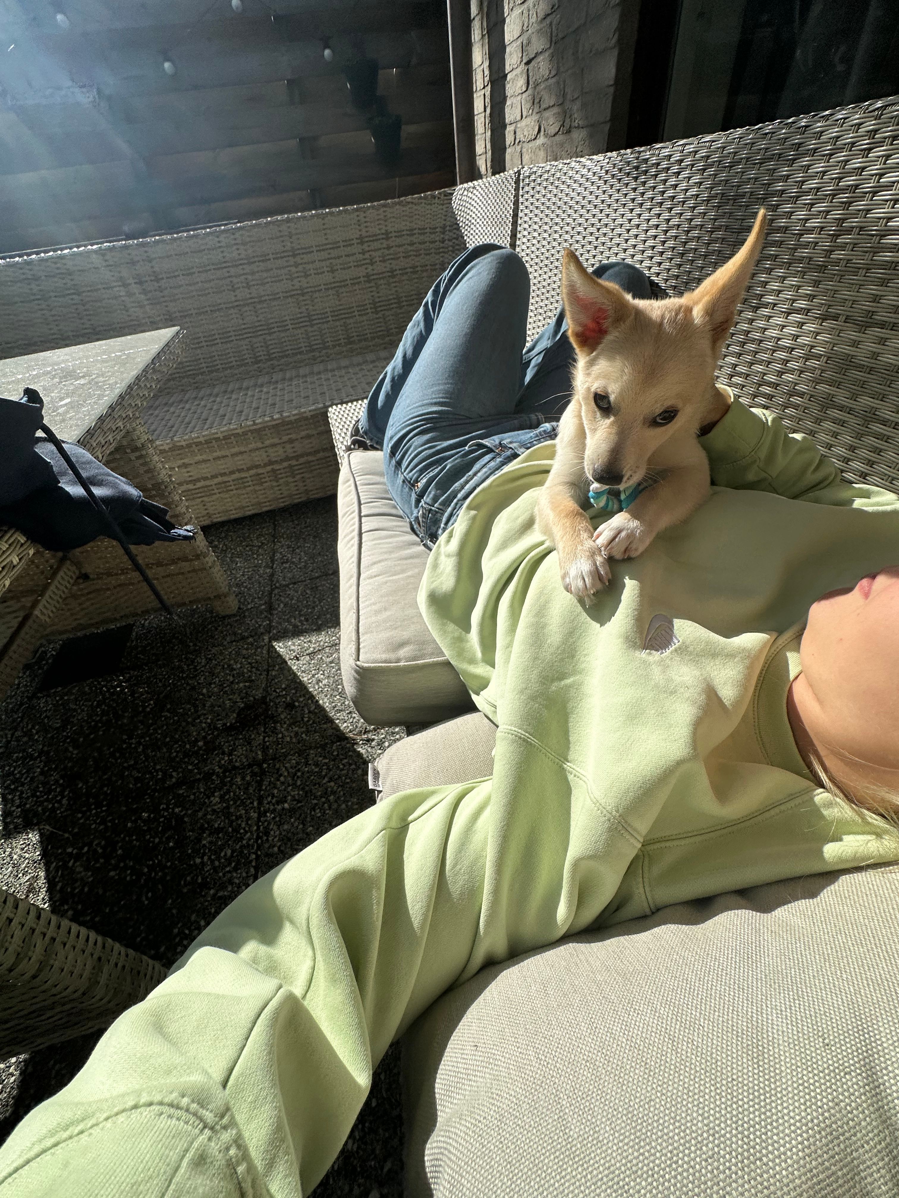 image-7