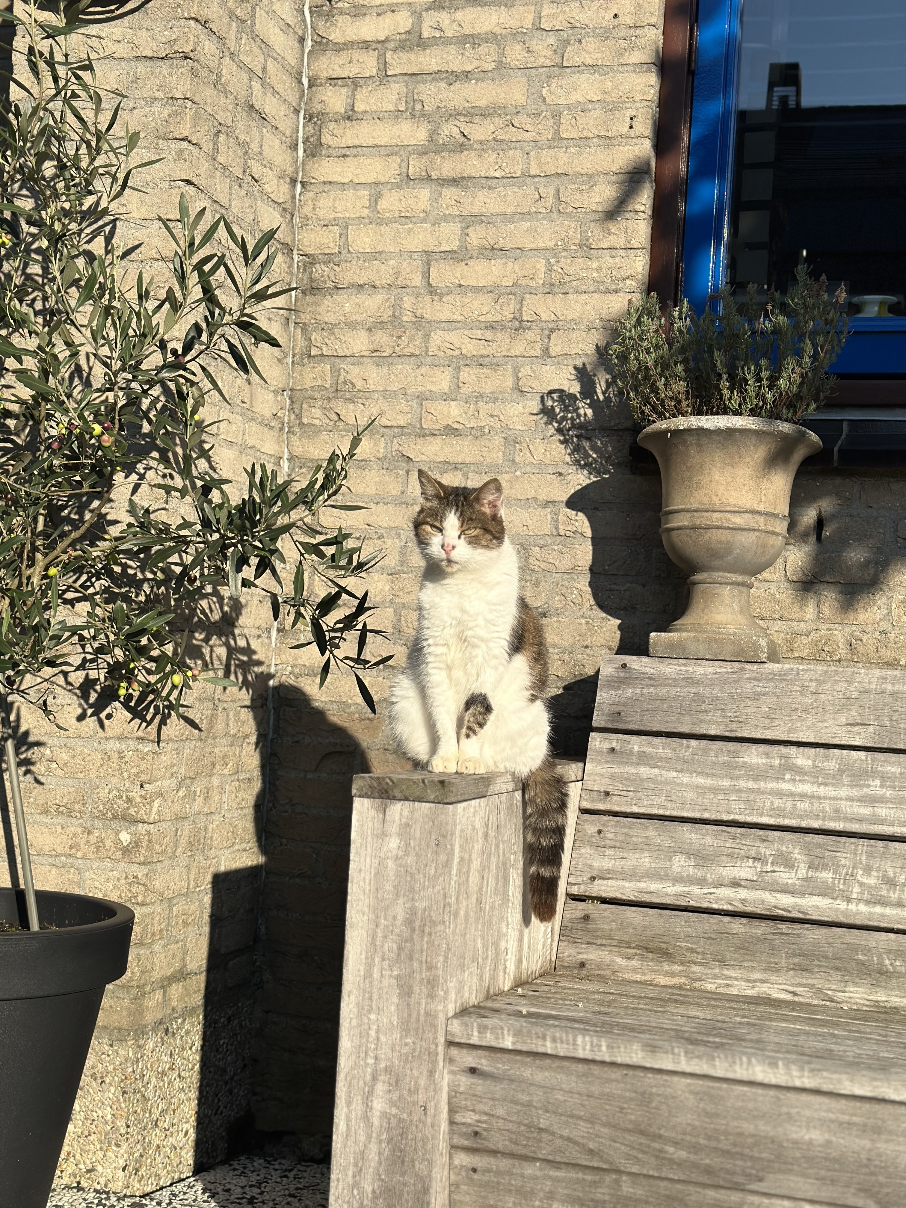image-11