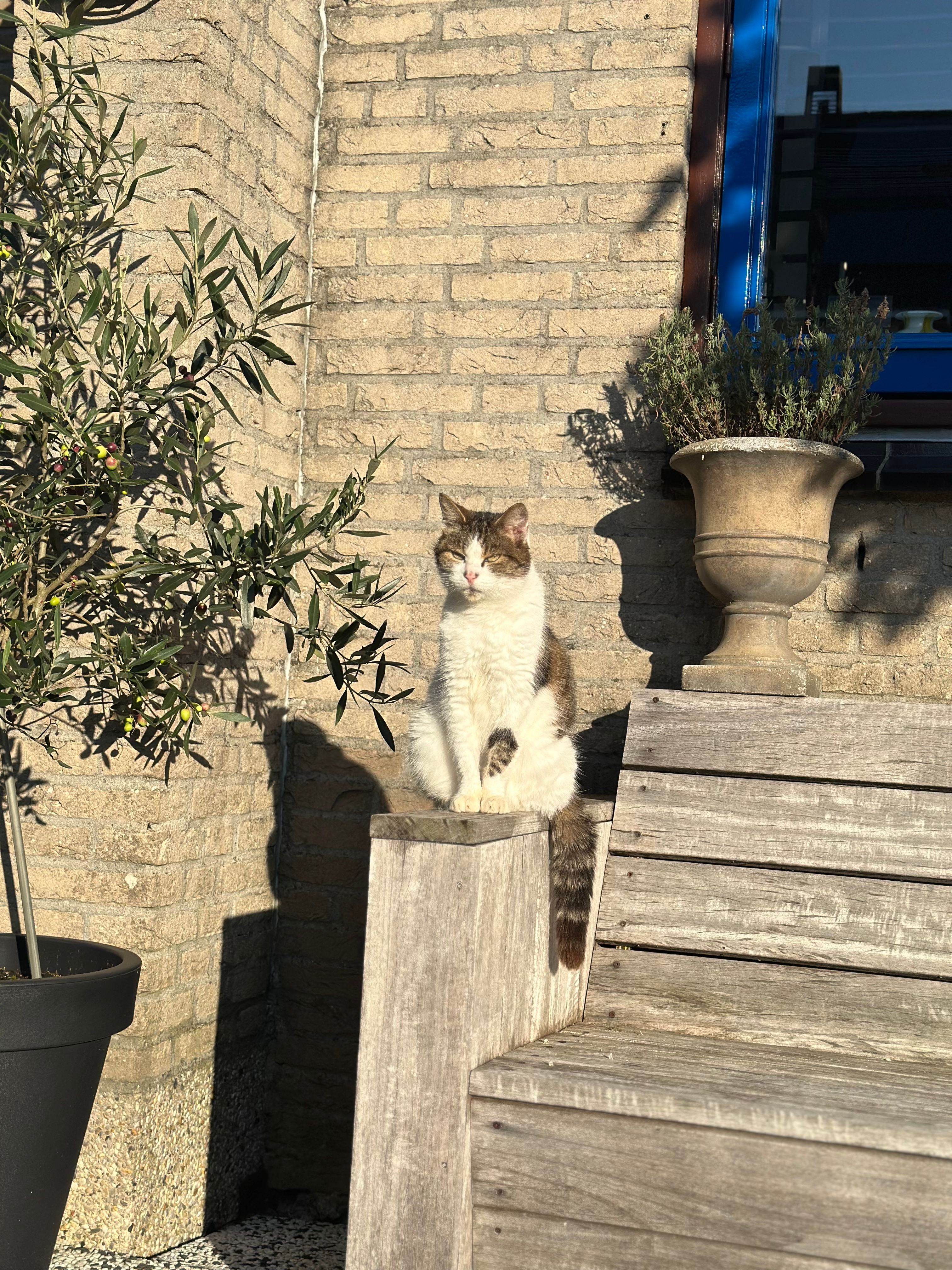 image-11