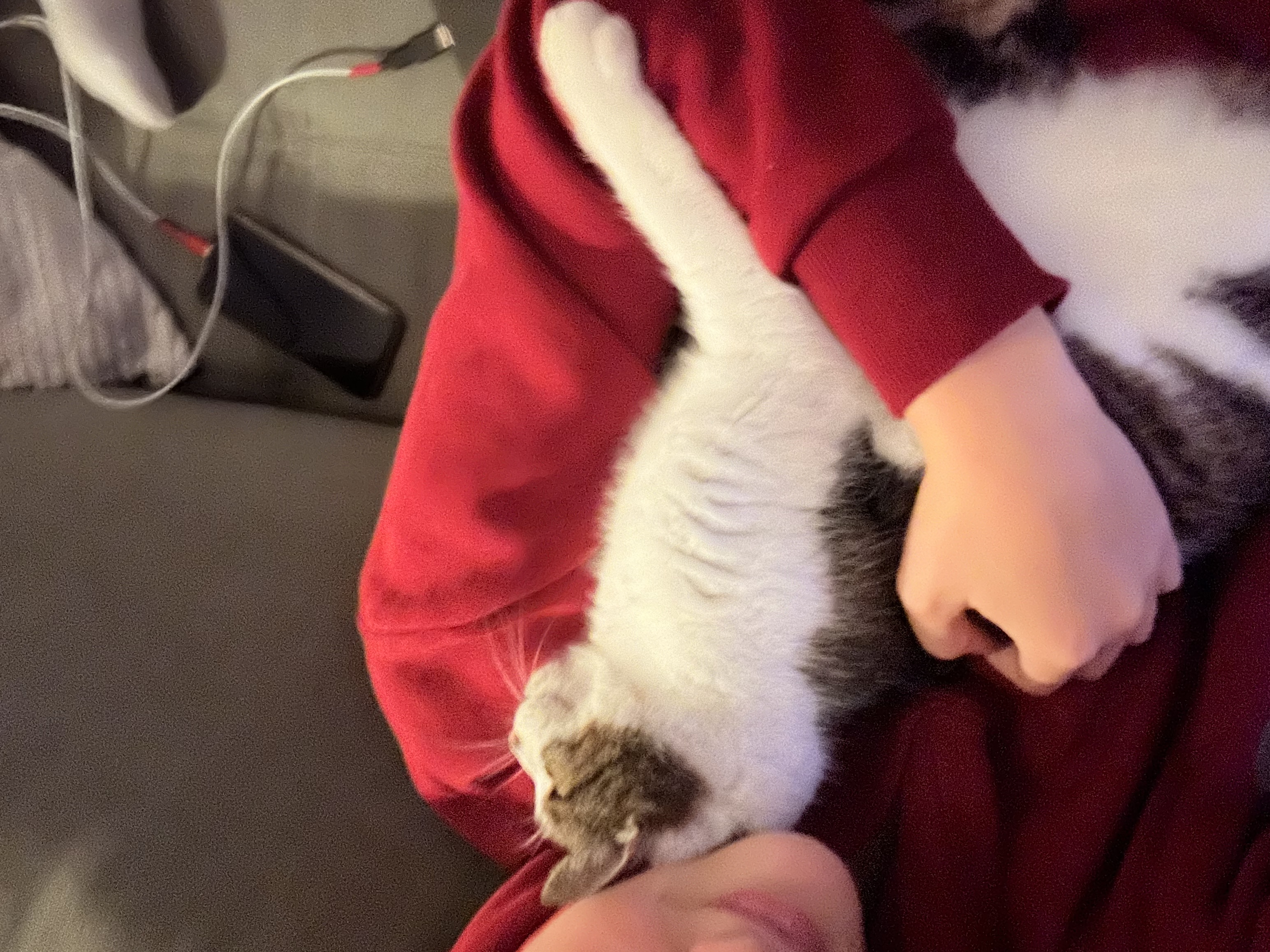image-10