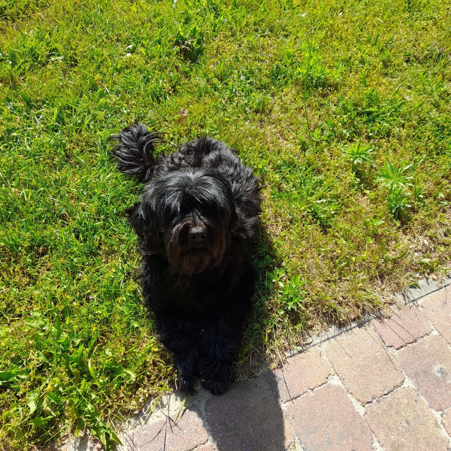 Lola