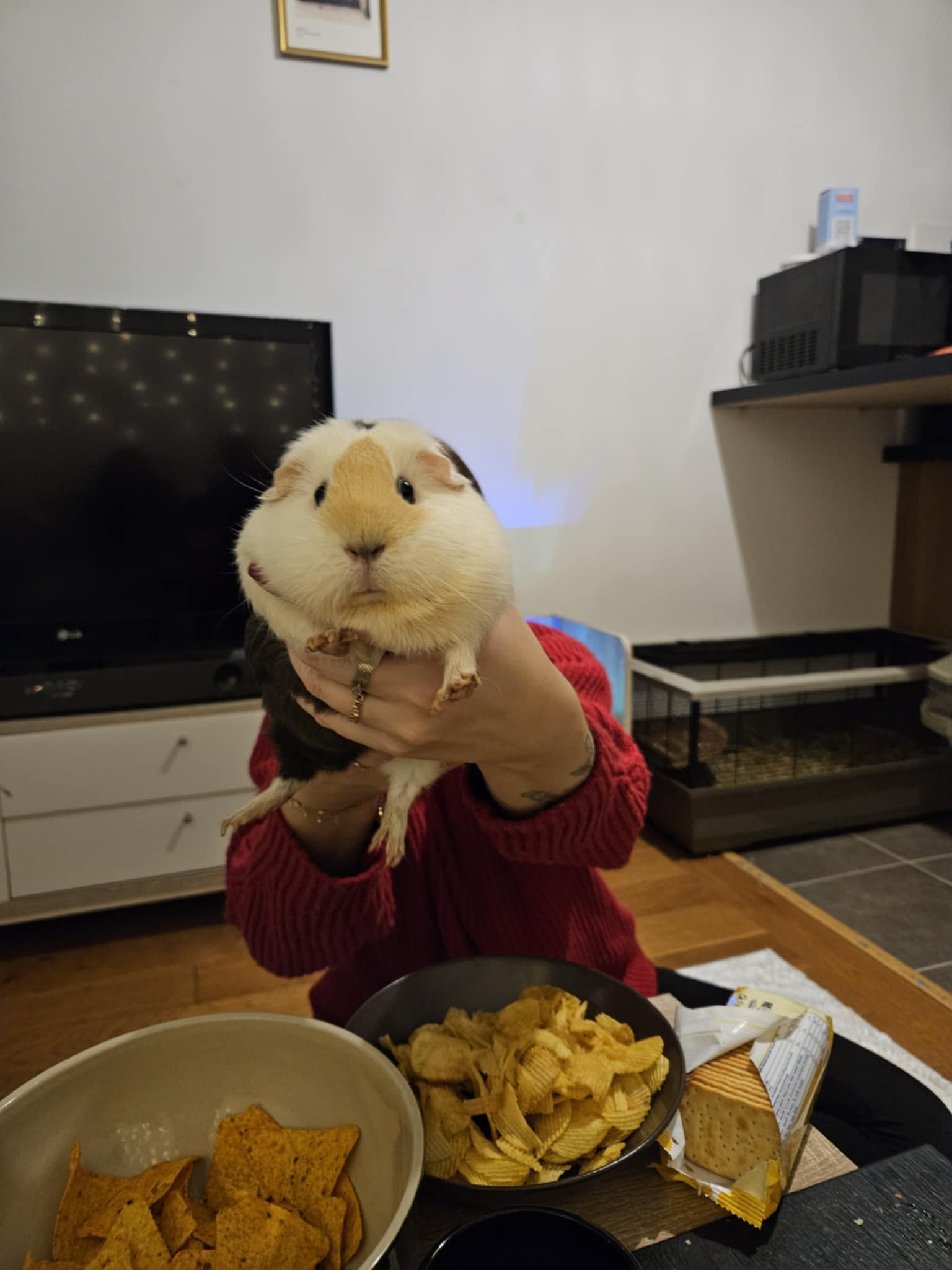 image-11