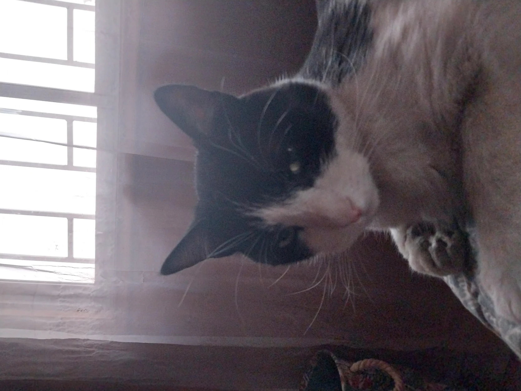 image-16
