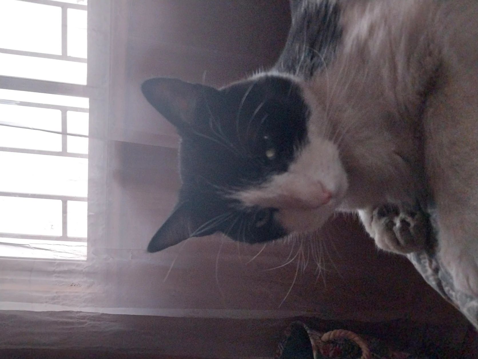 image-16