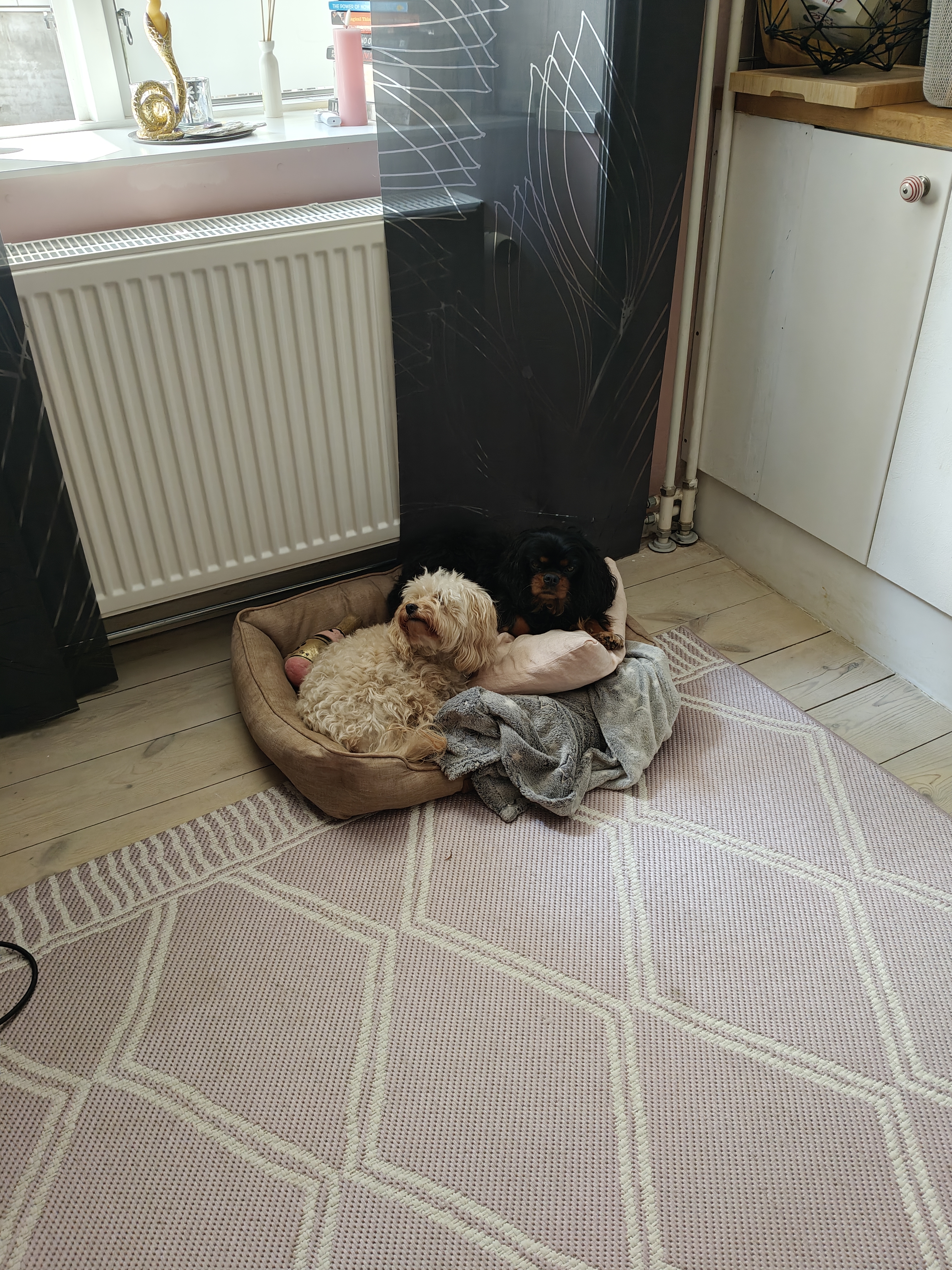 image-15