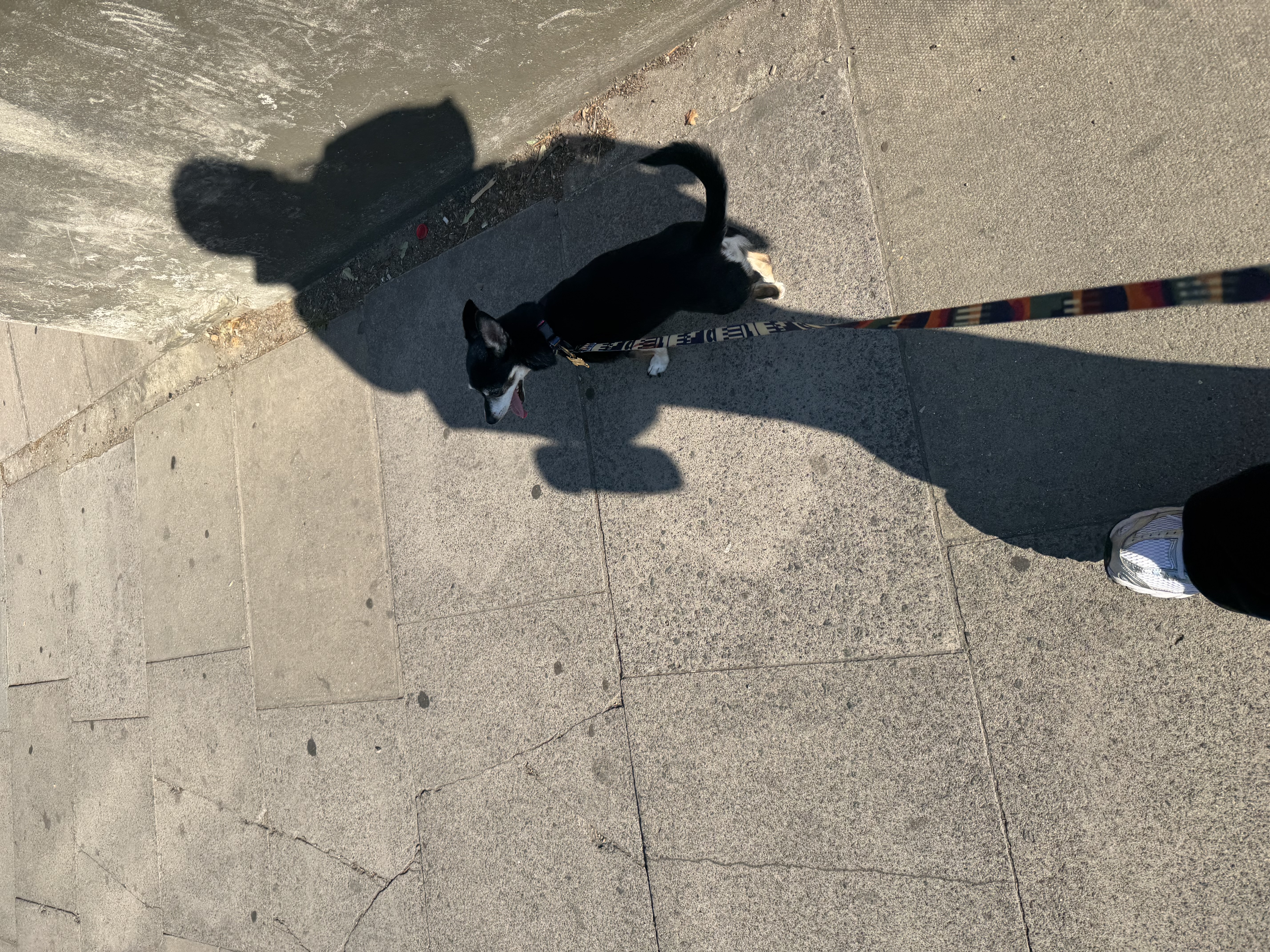 image-7
