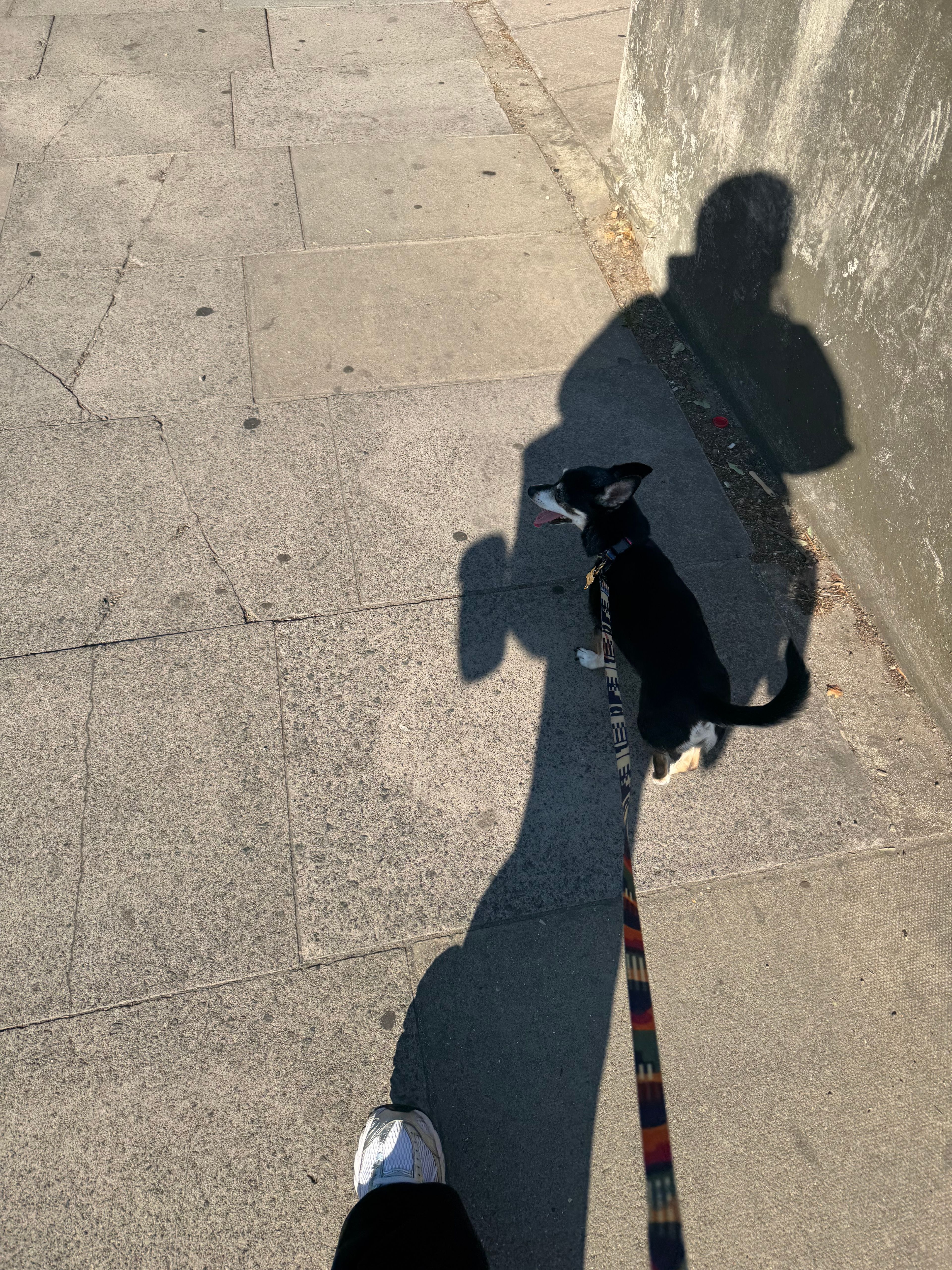 image-7