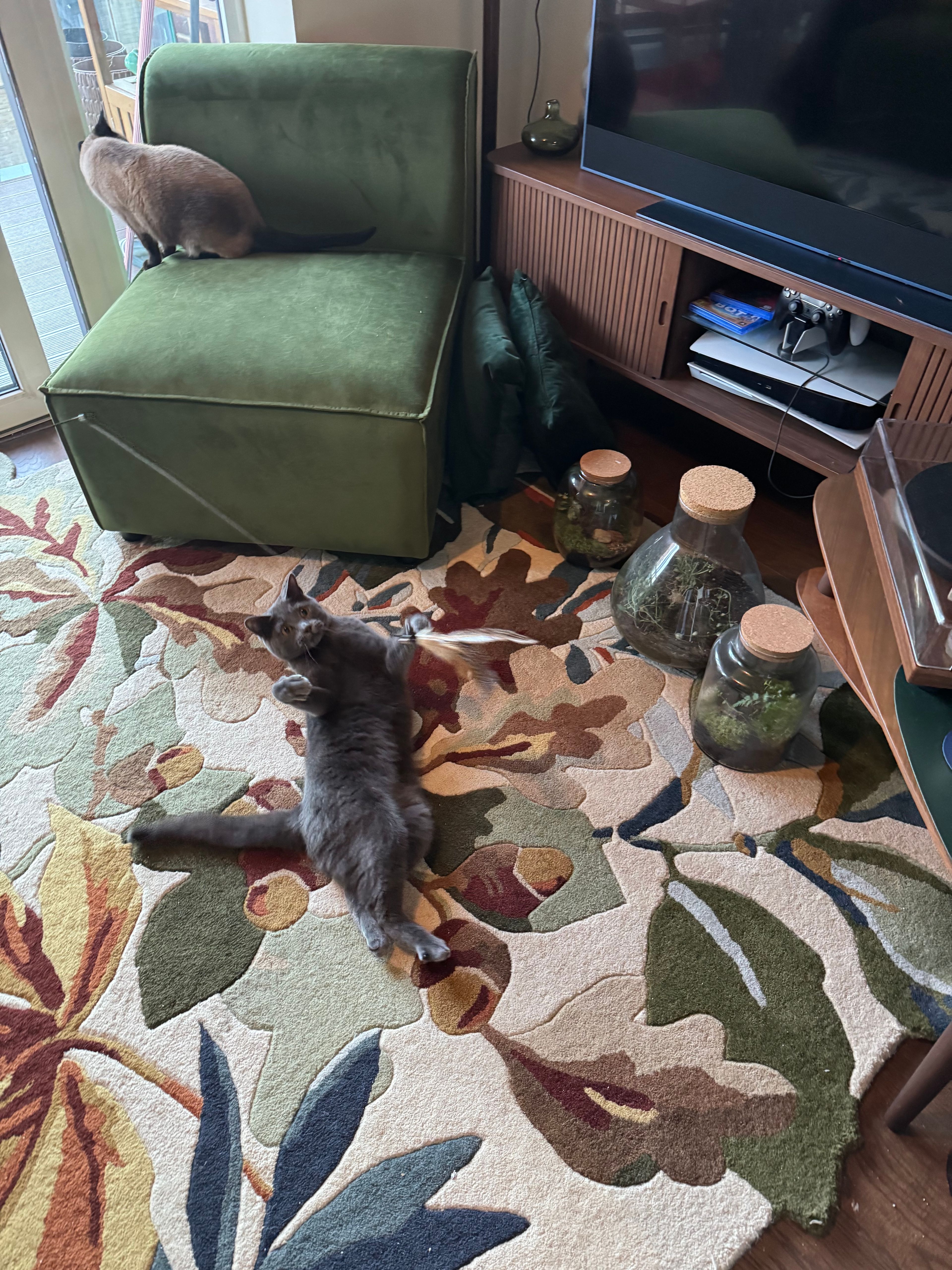 image-12