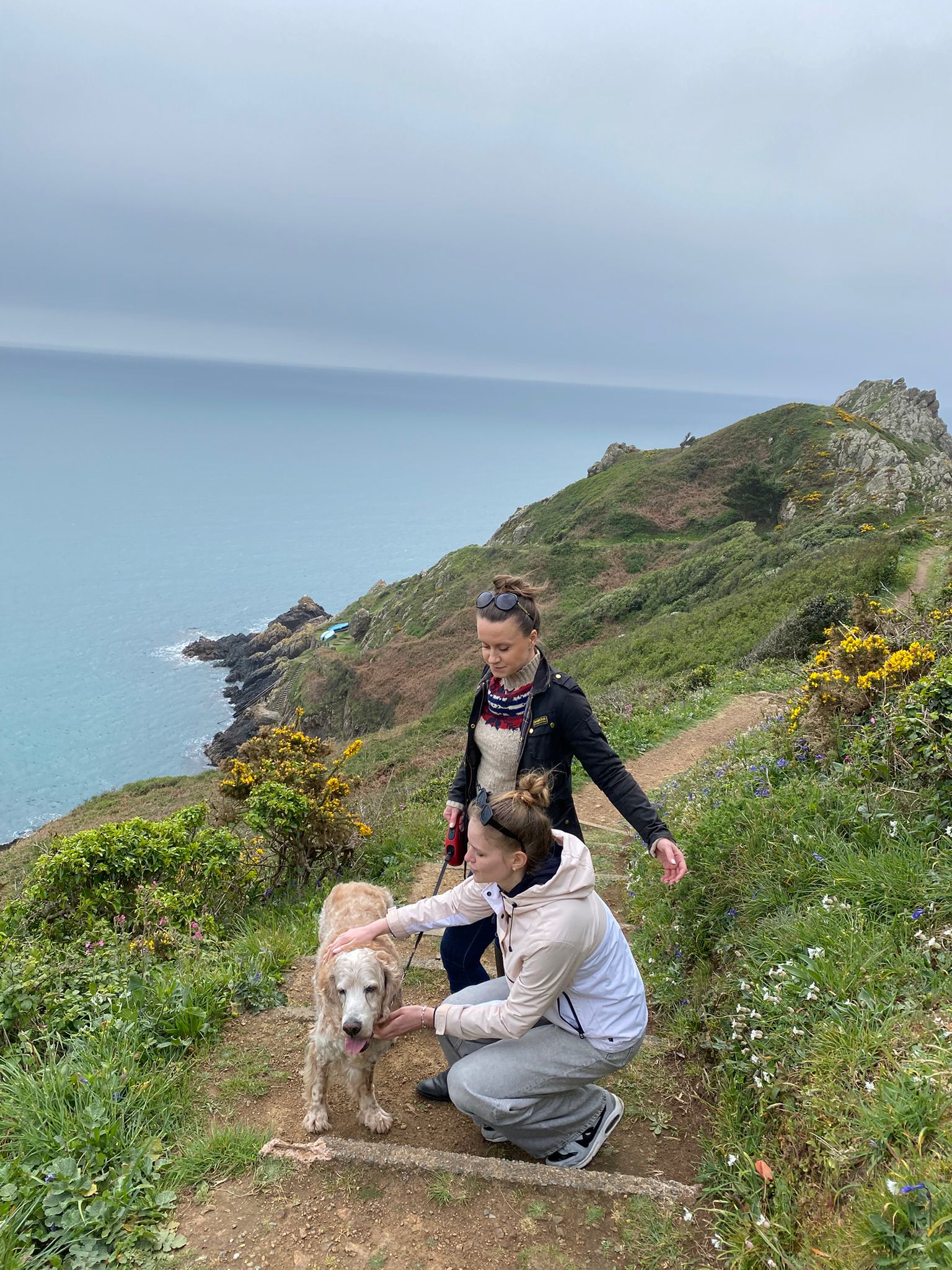 image-1