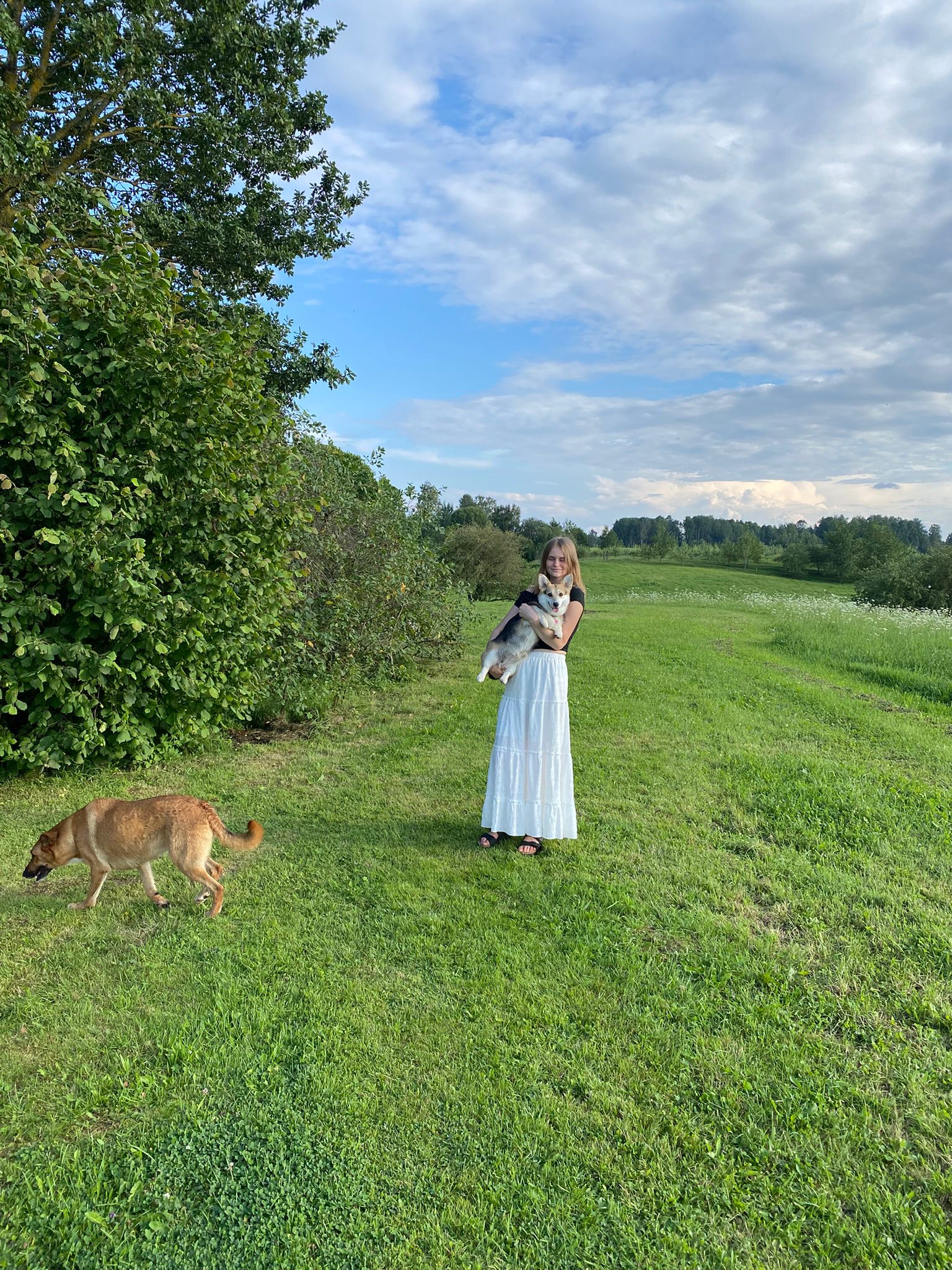 image-2