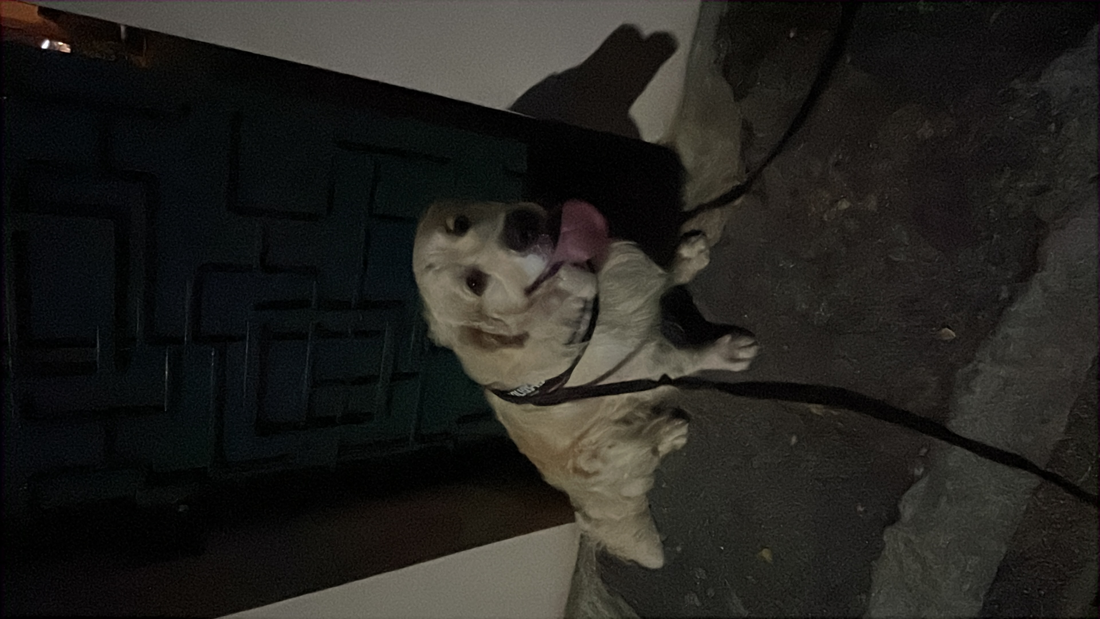 image-8
