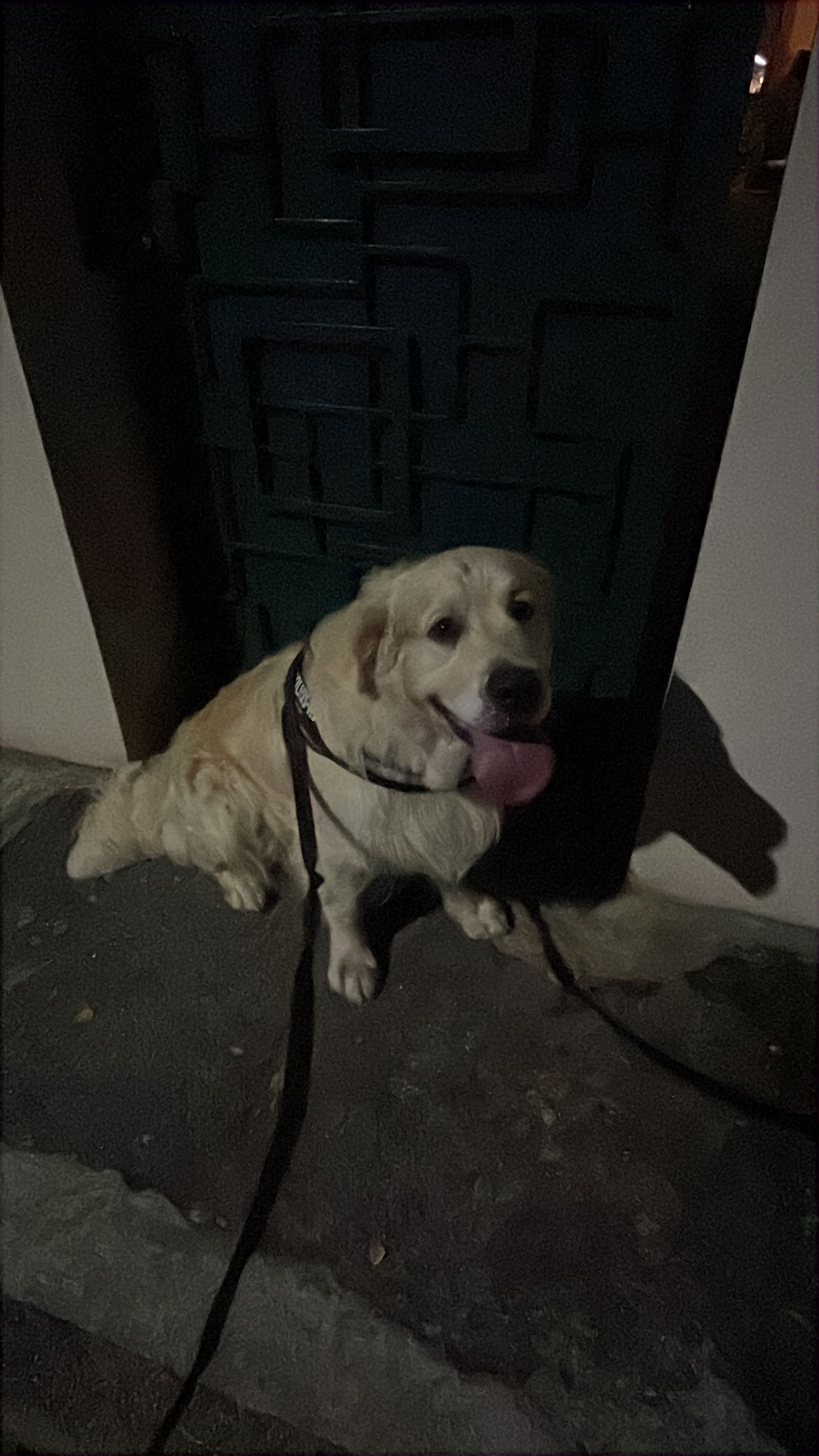 image-8