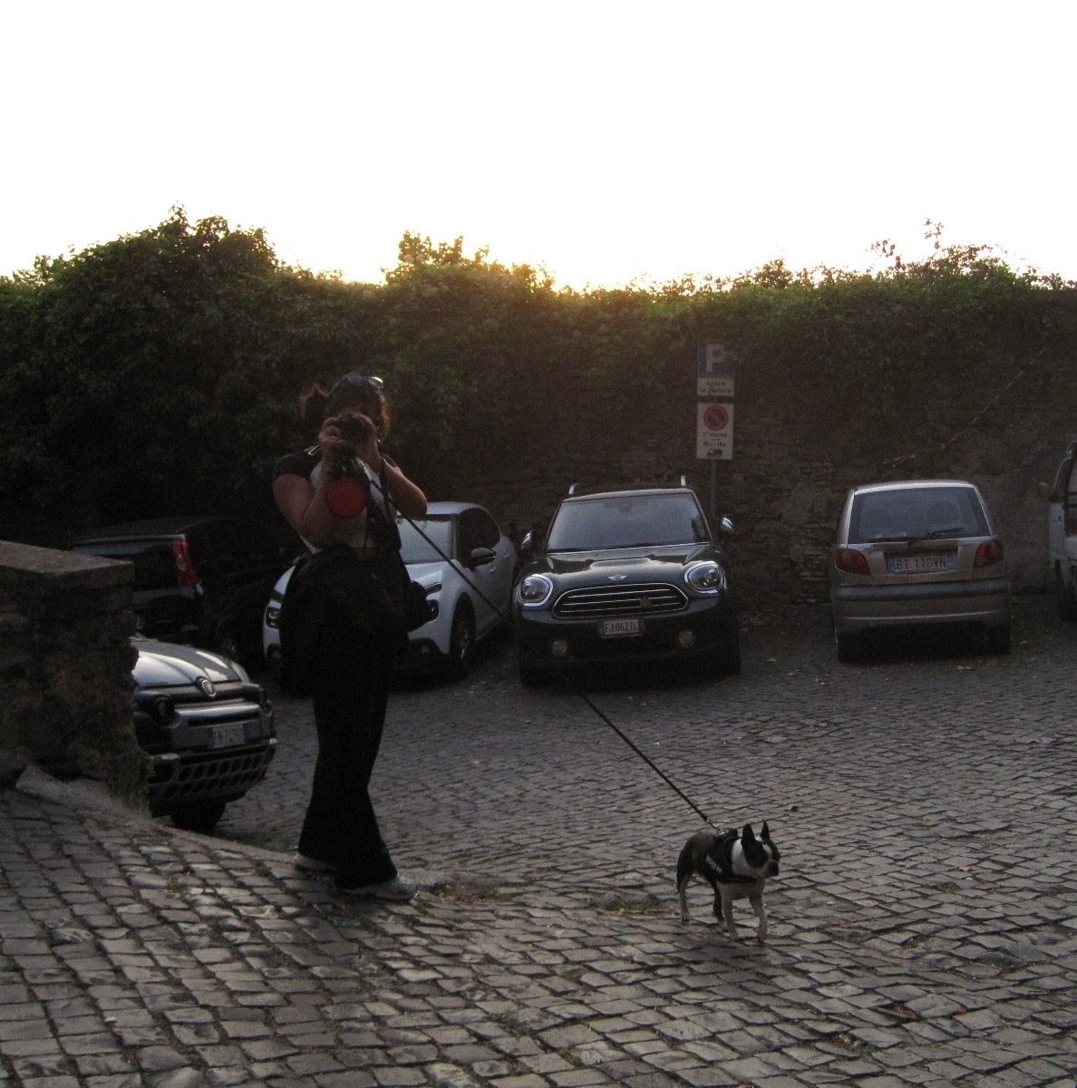 image-17
