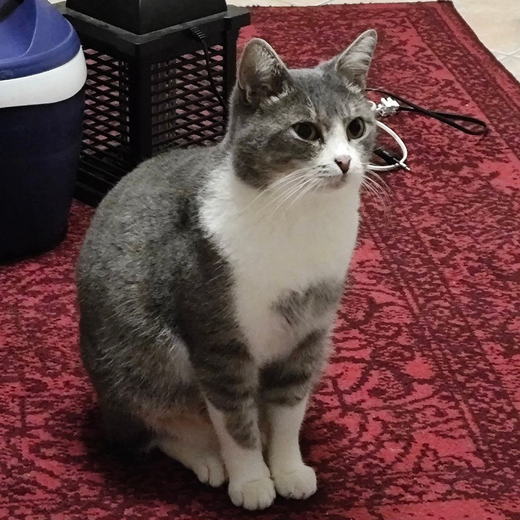 Buby