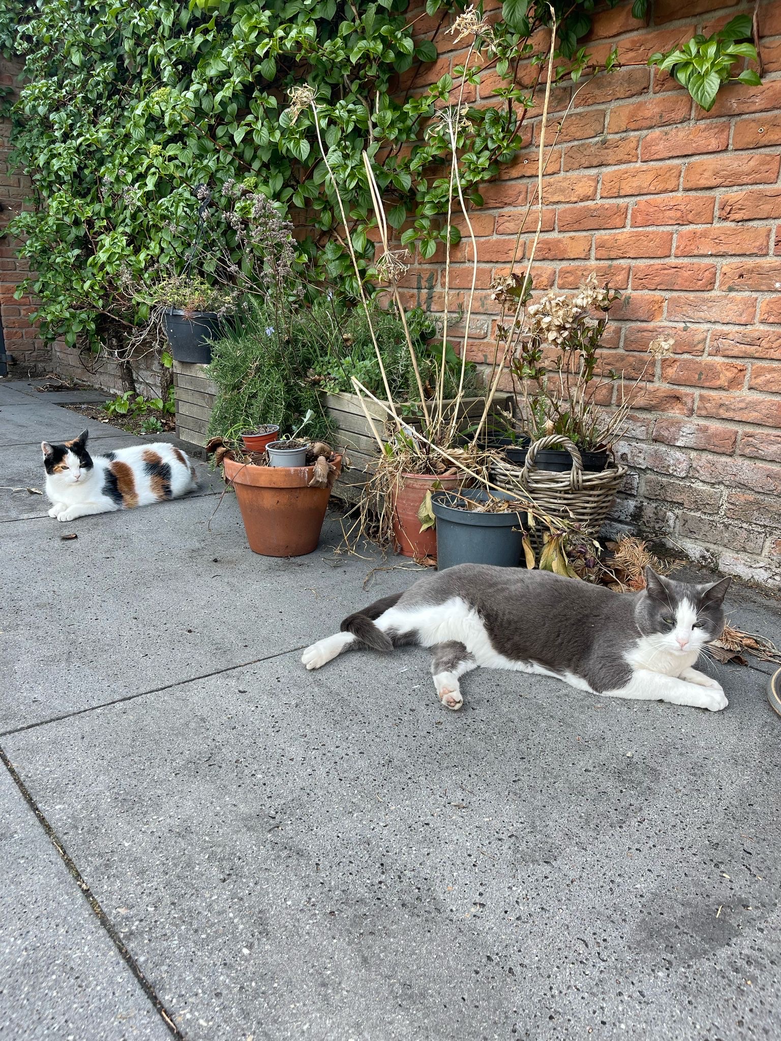 image-15