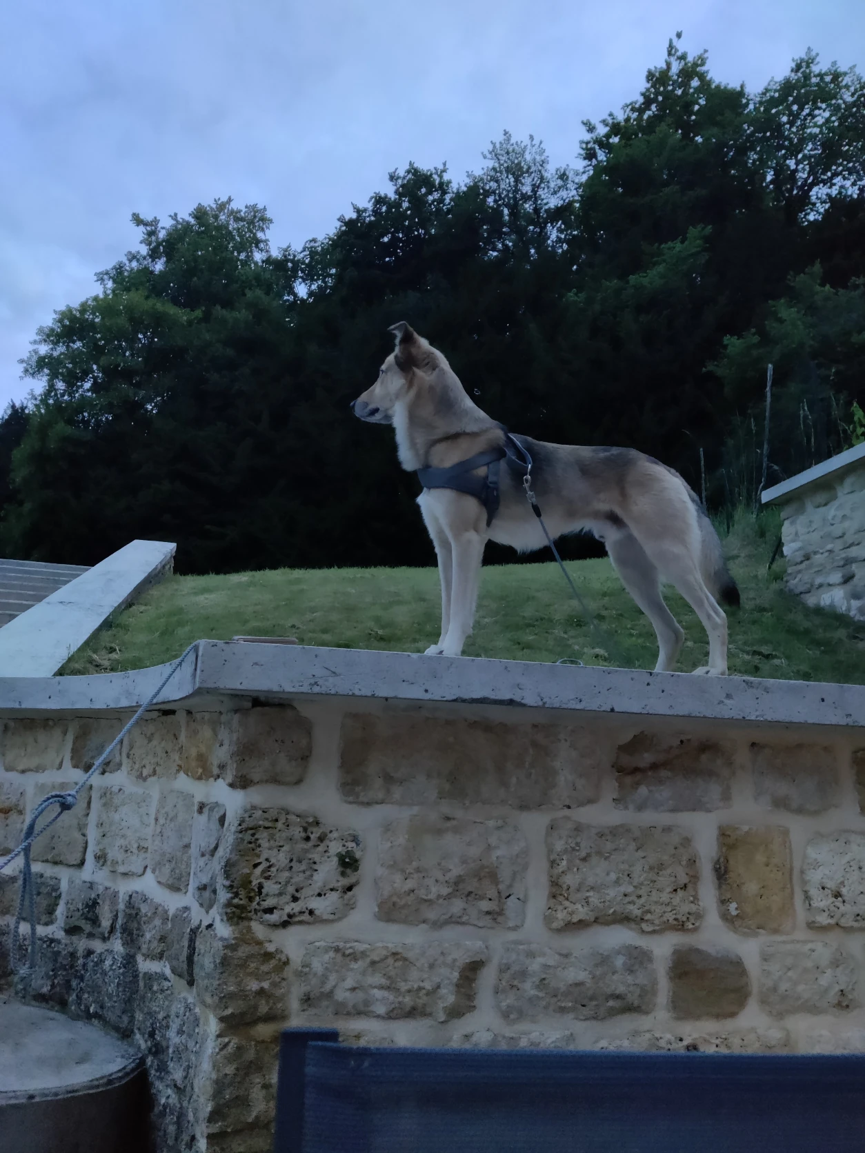 image-7
