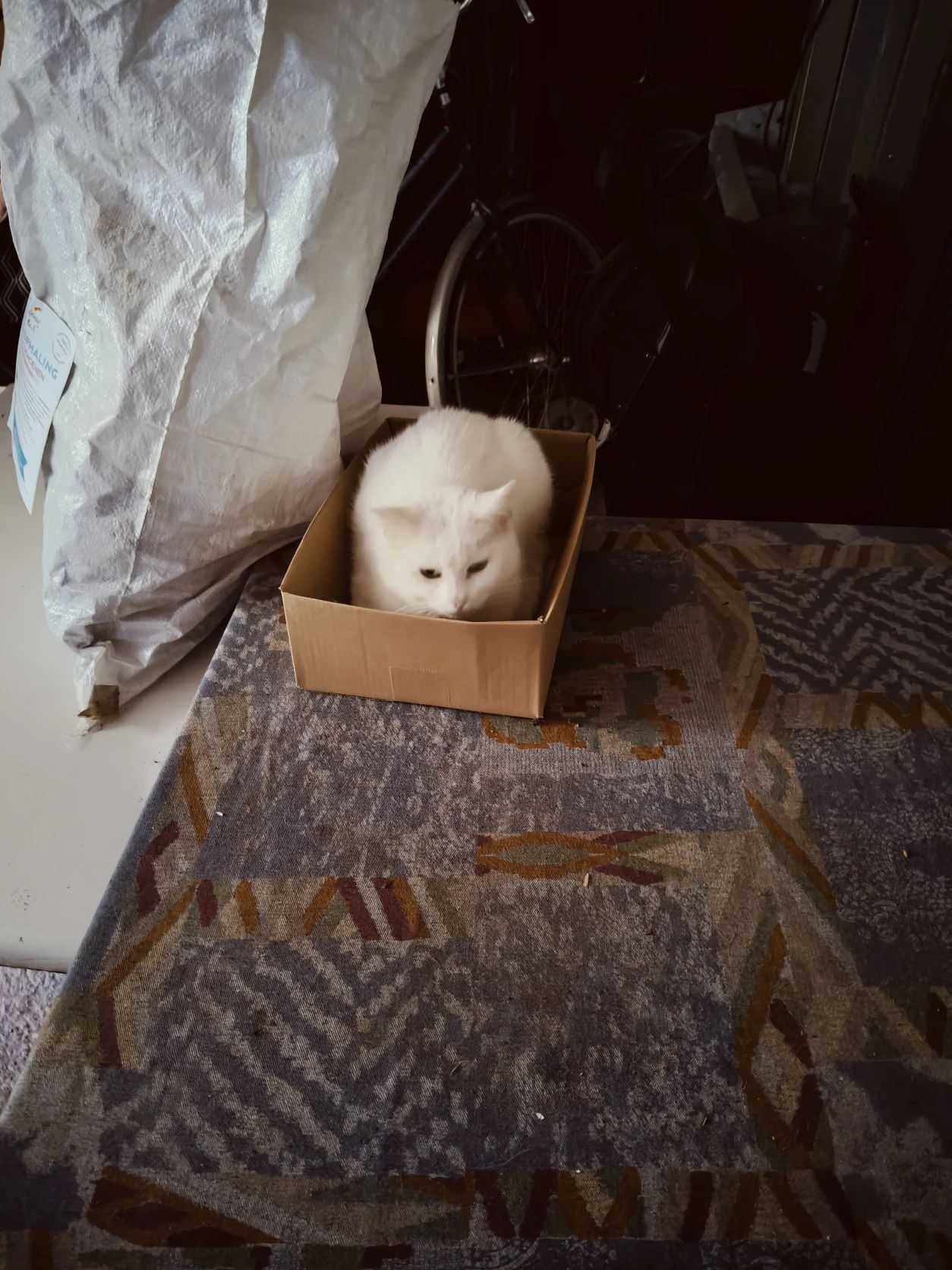 image-12