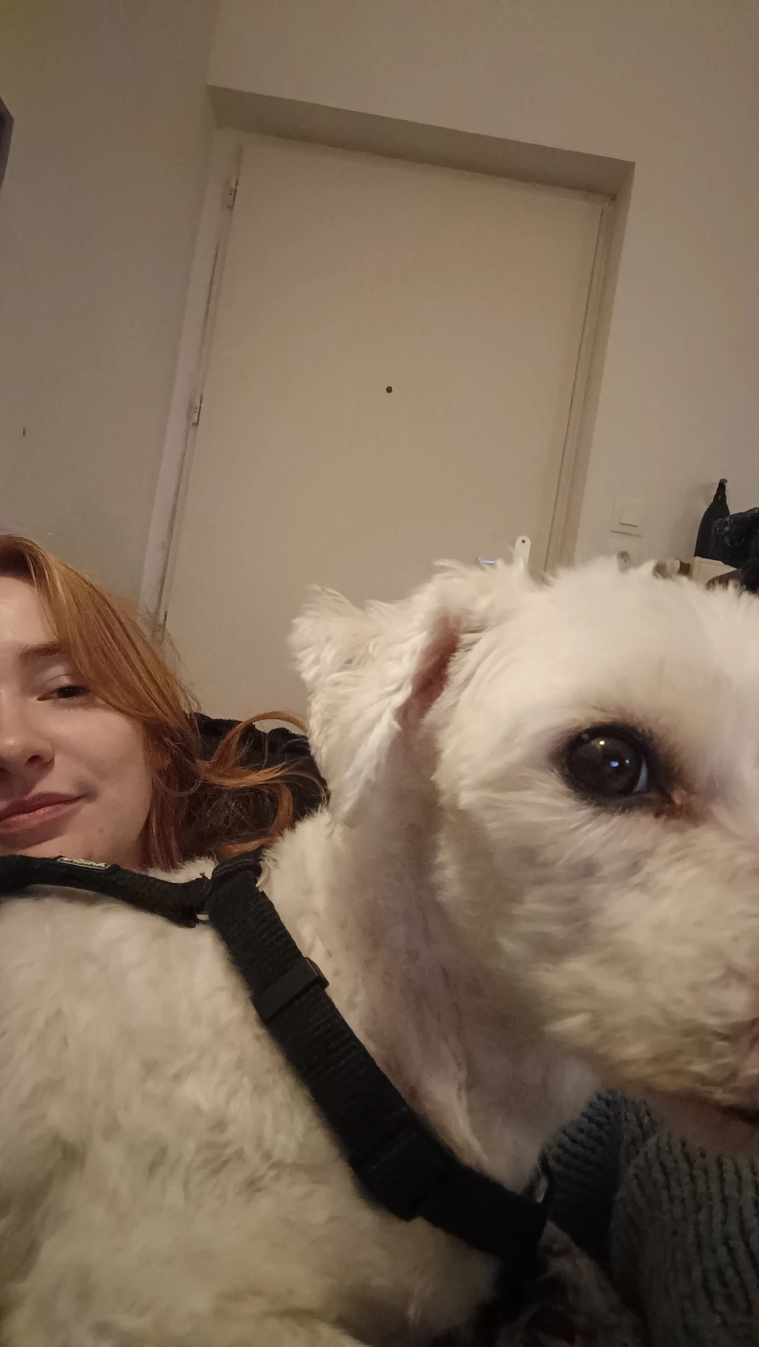 image-6