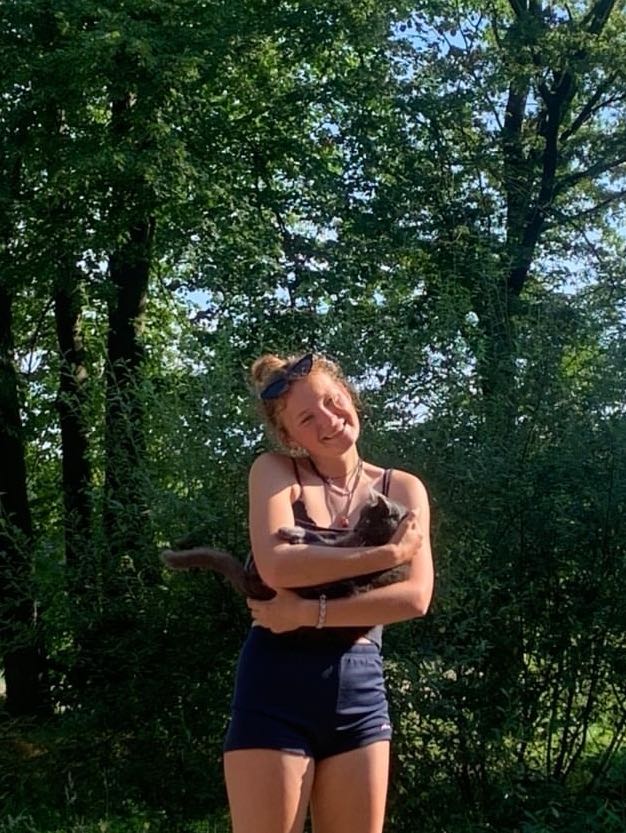 image-6