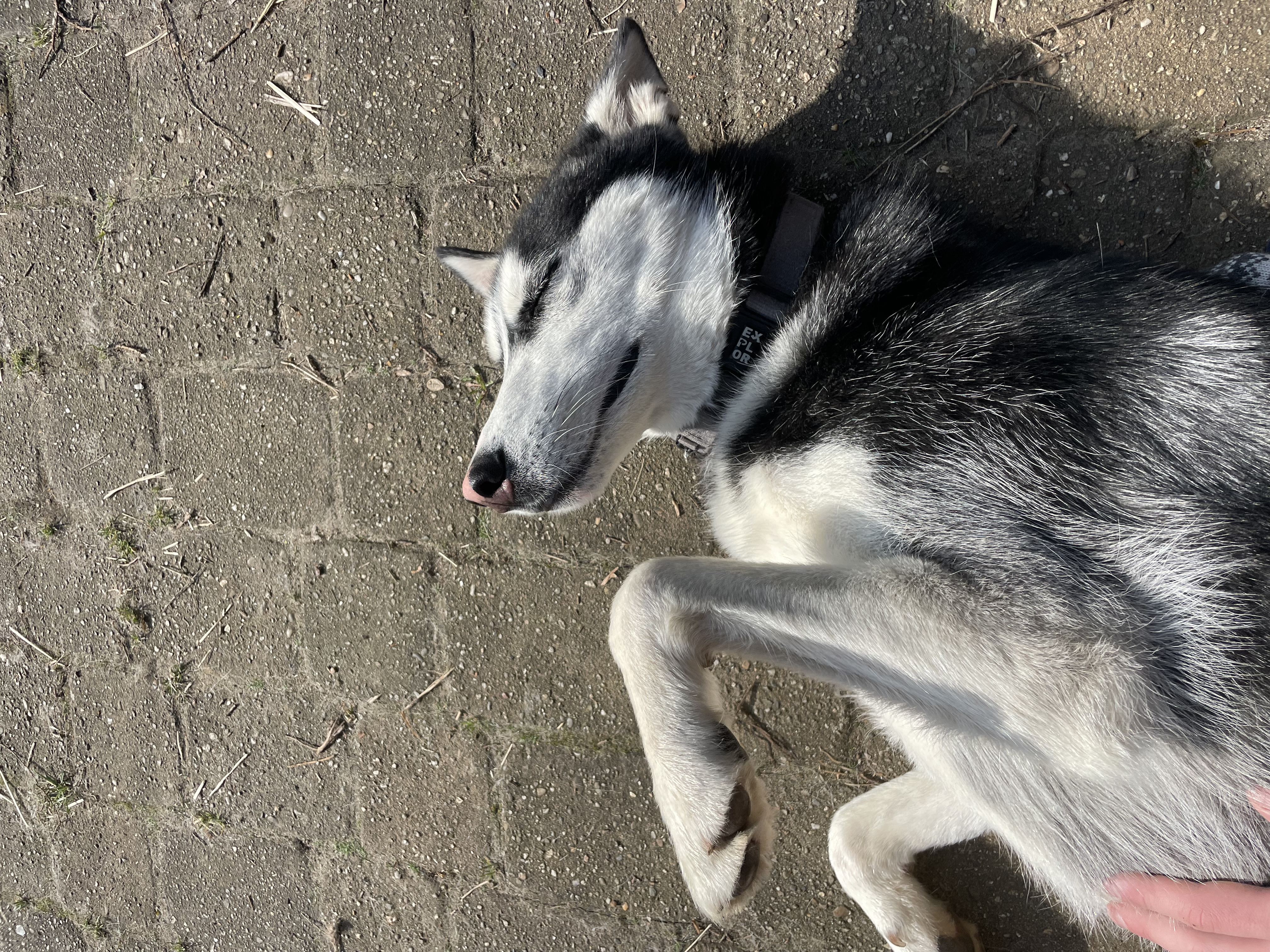 image-10