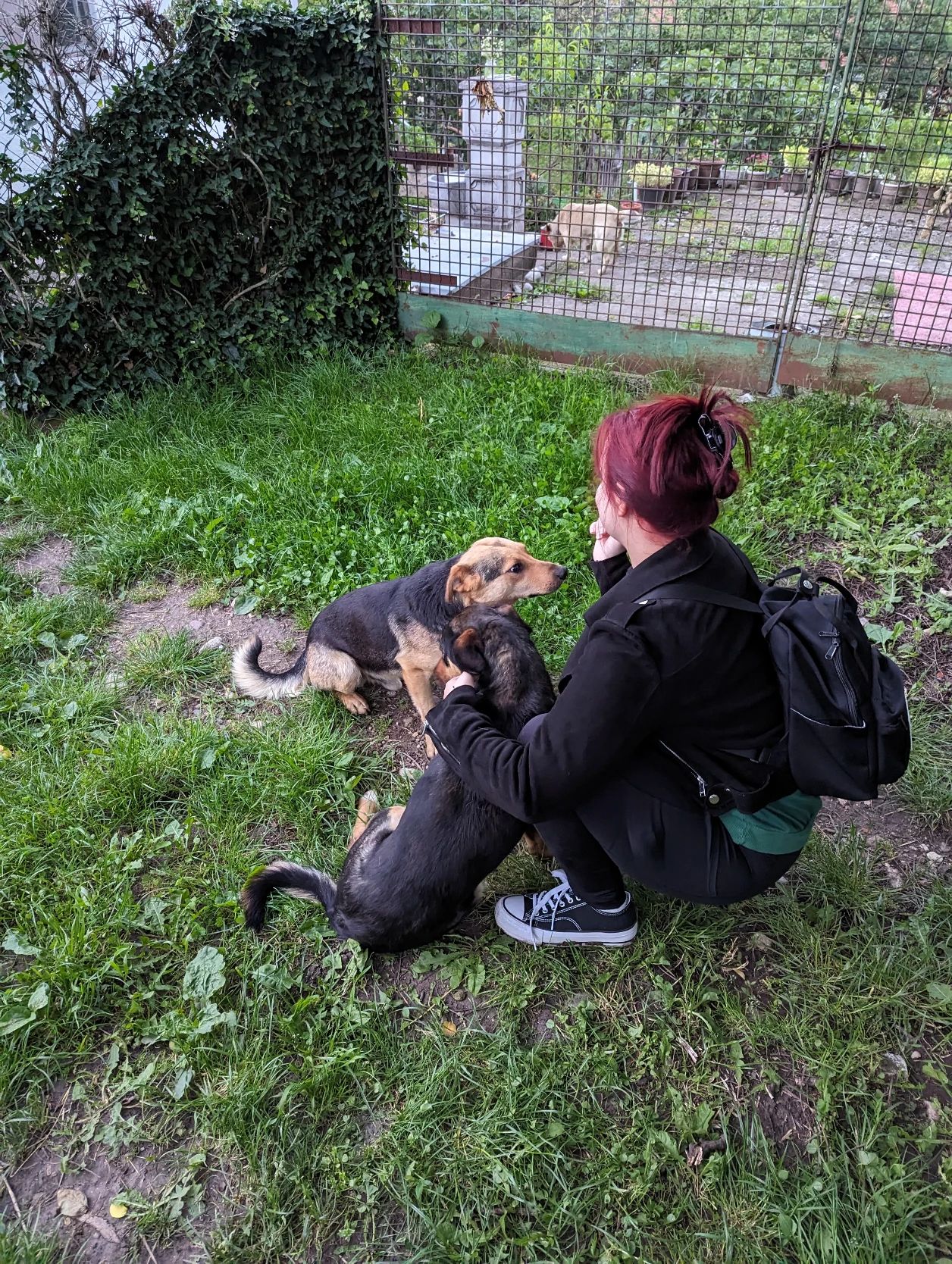 image-6